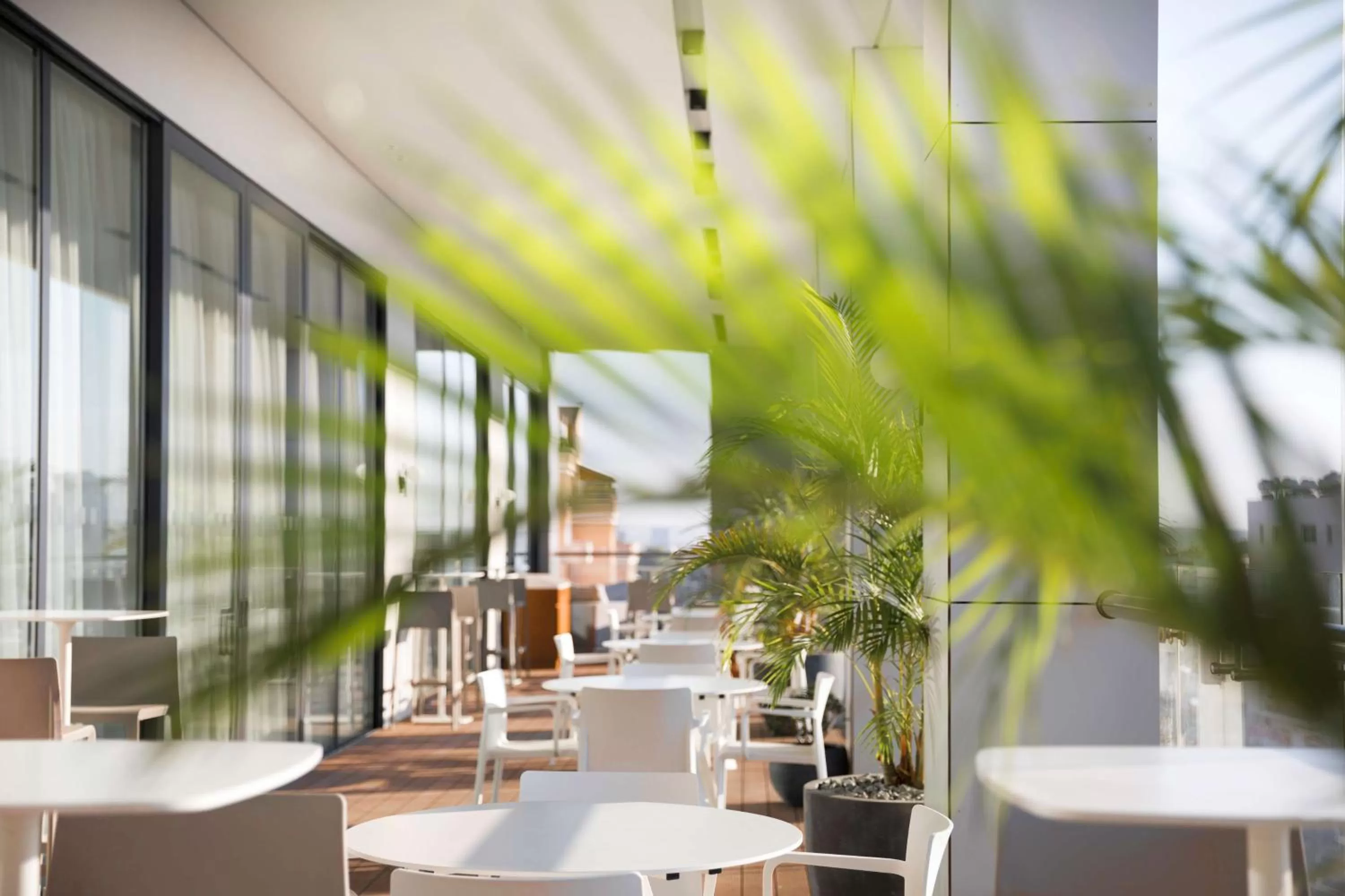 Restaurant/places to eat in Radisson Blu Hotel, Larnaca