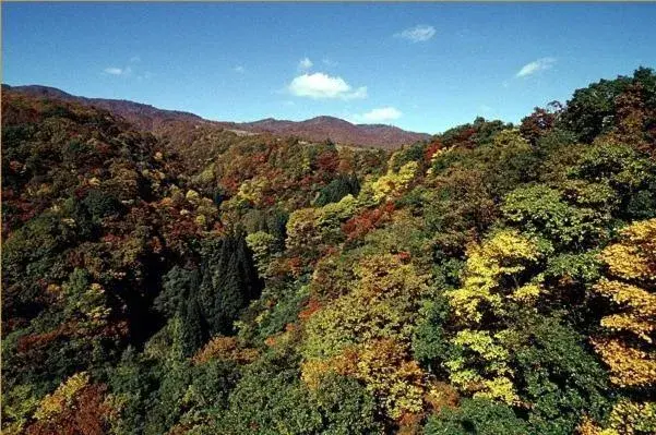 Autumn, Natural Landscape in Hotel Silk In Madarao