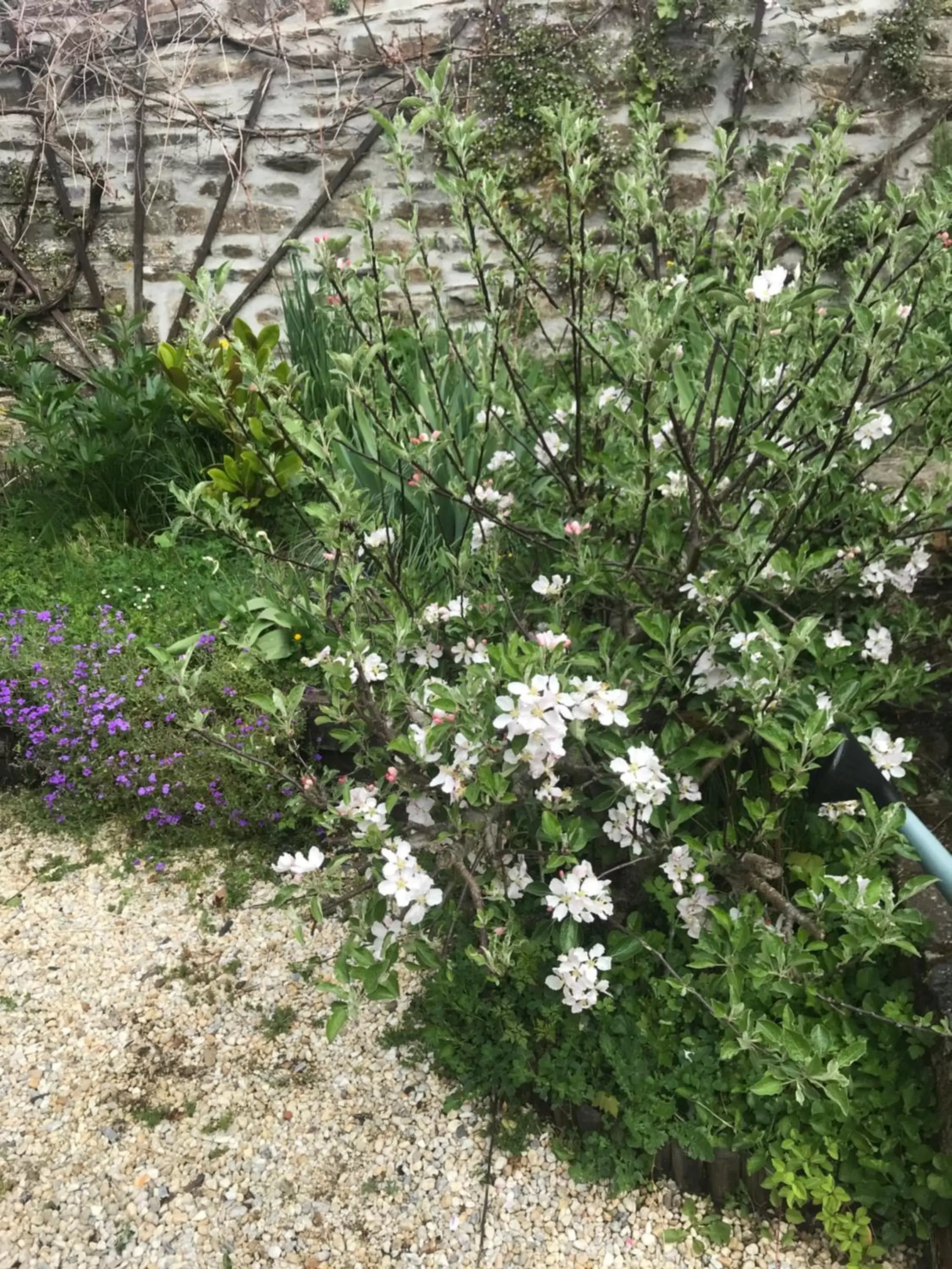 View (from property/room), Garden in "La chambre des TISSERANDS"