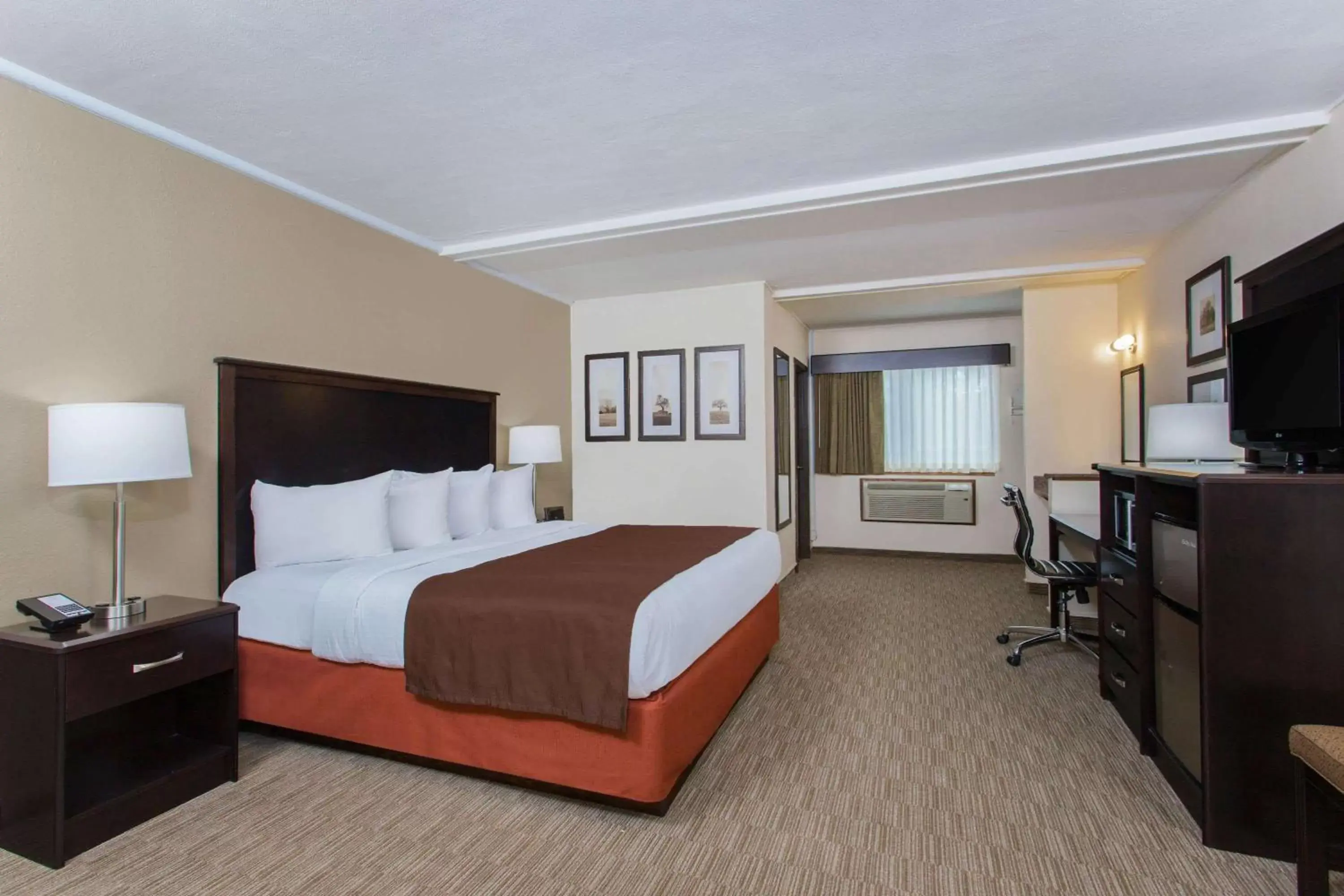 Photo of the whole room in AmericInn by Wyndham Janesville