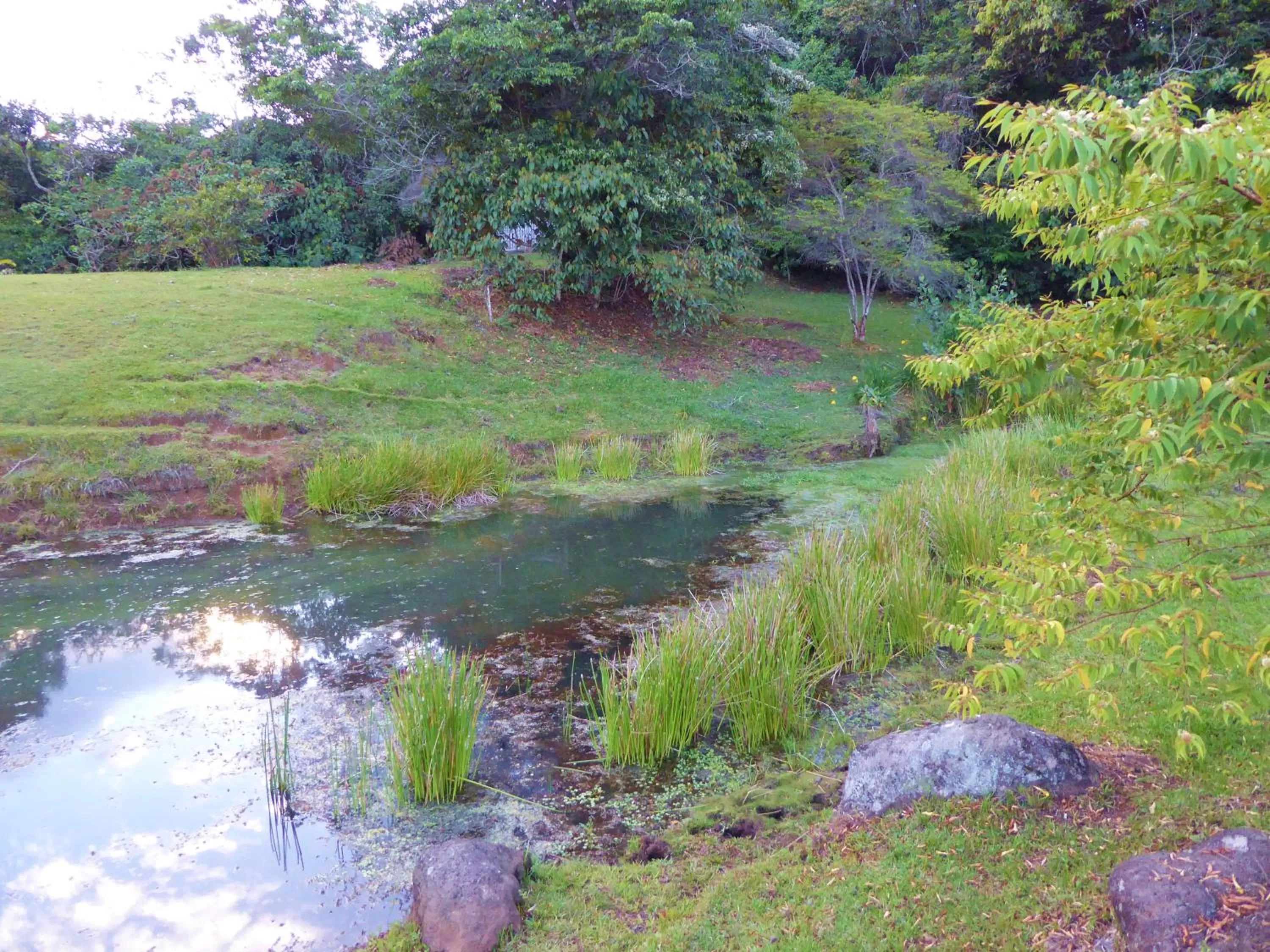 Area and facilities in Finca El Cielo