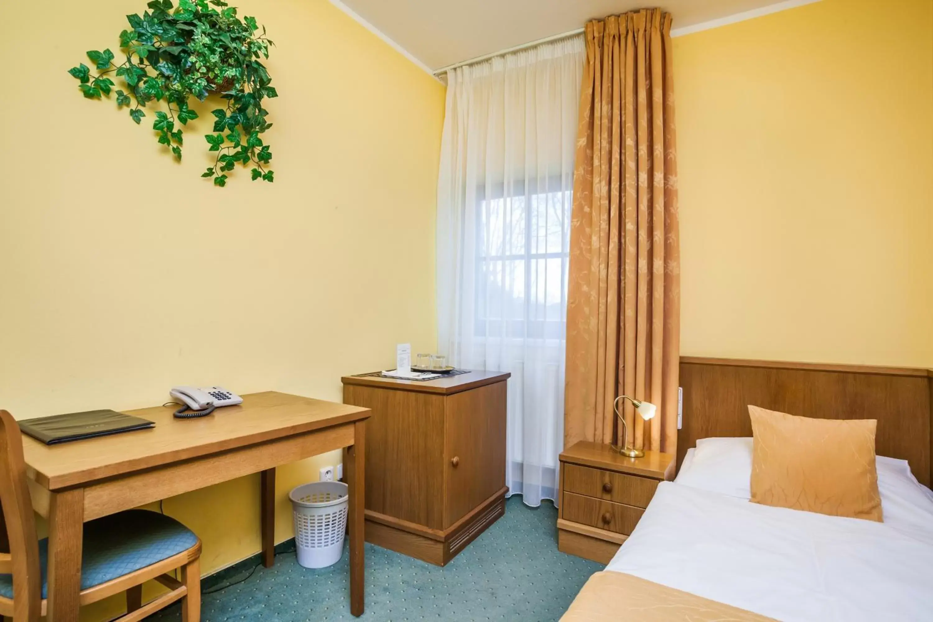 Single Room in Hotel Jelínkova vila Single Room in Hotel Jelínkova vila