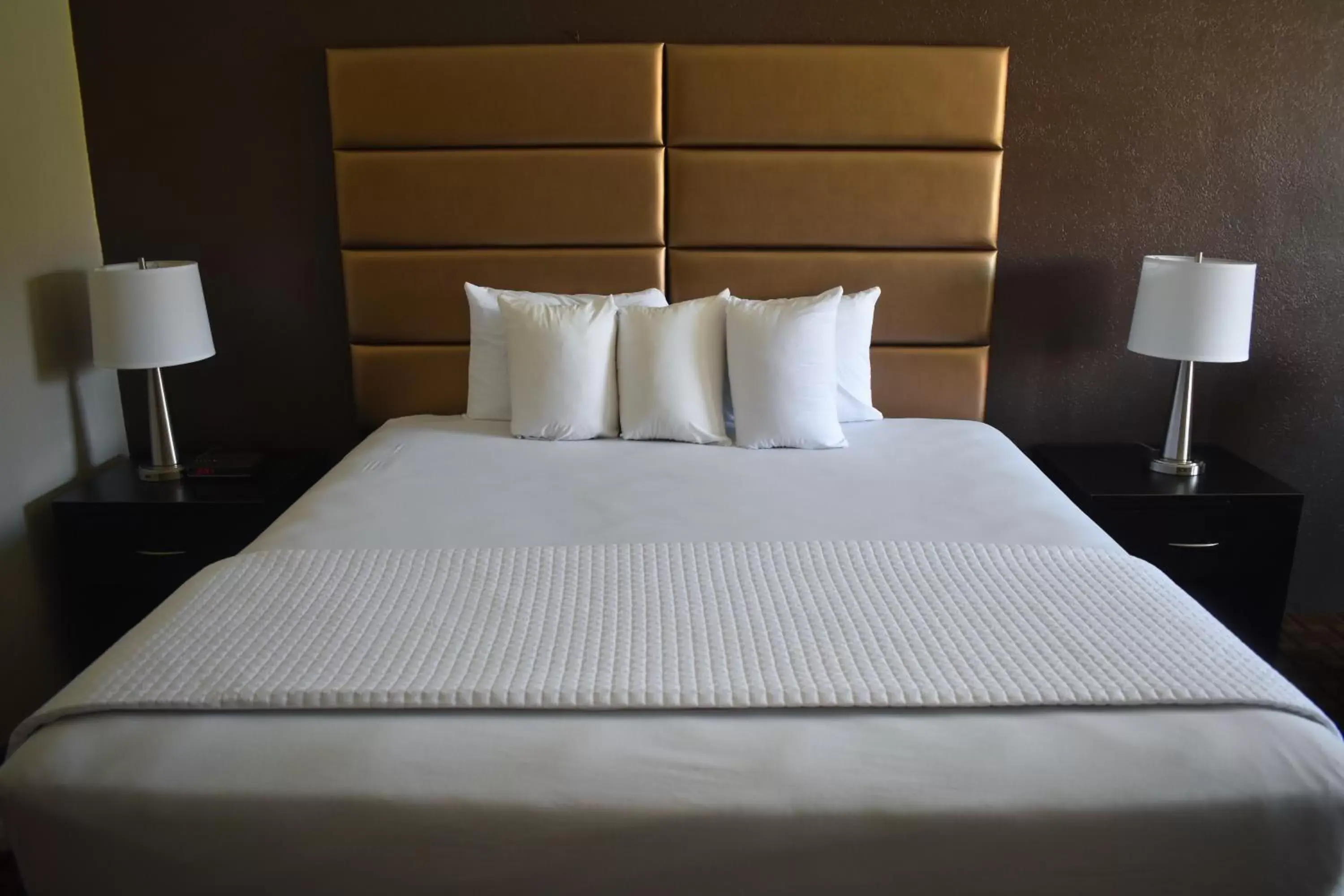 King Room in Gadsden Inn and Suites King Room in Gadsden Inn and Suites