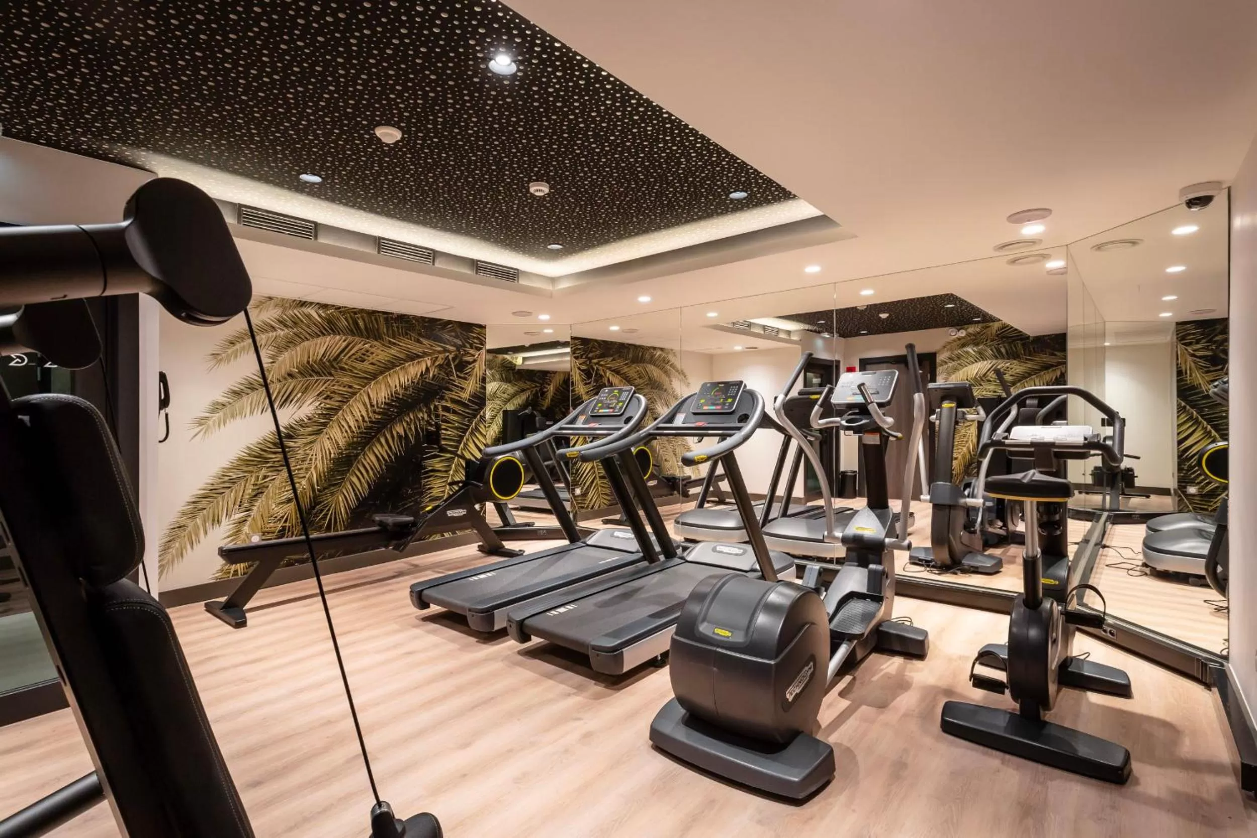 Fitness centre/facilities in voco Strasbourg Centre - The Garden by IHG