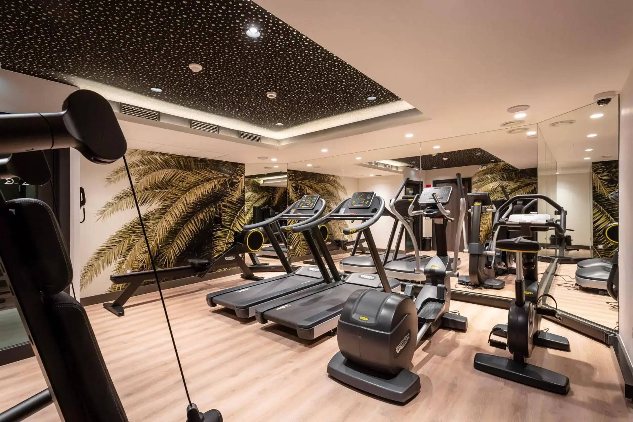 Fitness centre/facilities in voco Strasbourg Centre - The Garden by IHG Fitness centre/facilities in voco Strasbourg Centre - The Garden by IHG