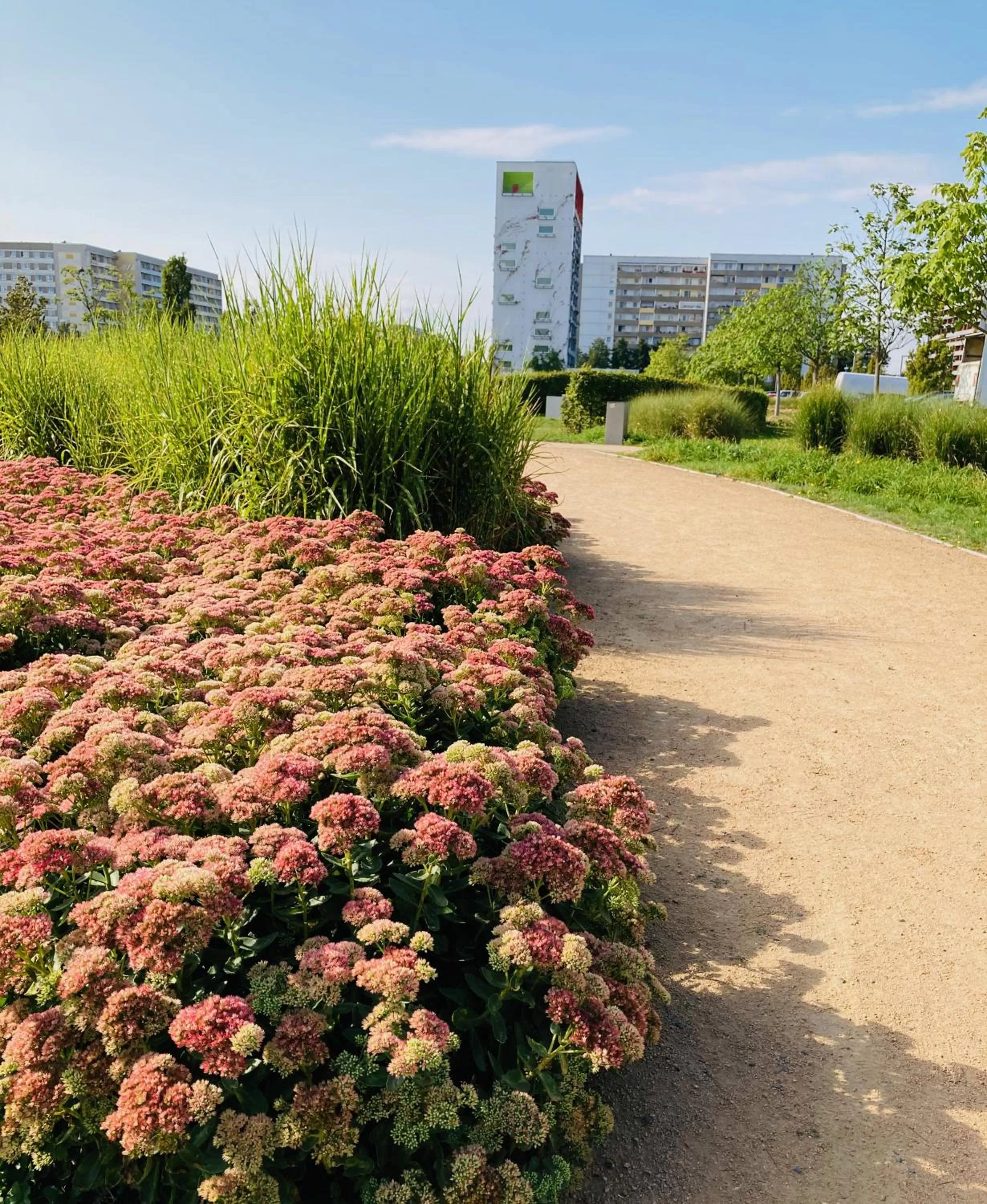 Nearby landmark in Akzent Congresshotel Hoyerswerda