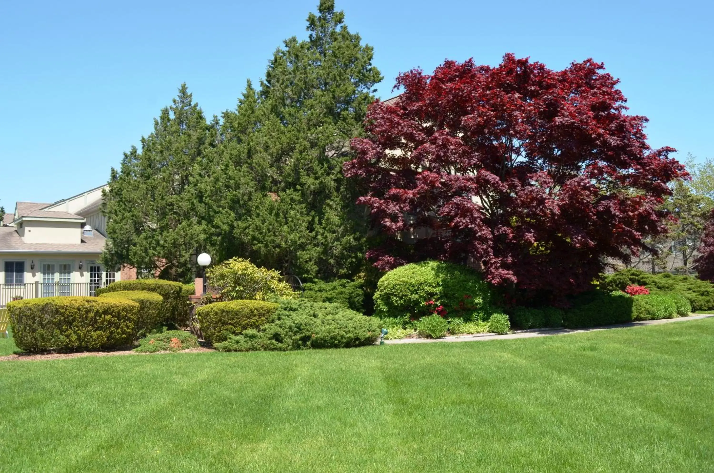 Garden in Southampton Inn