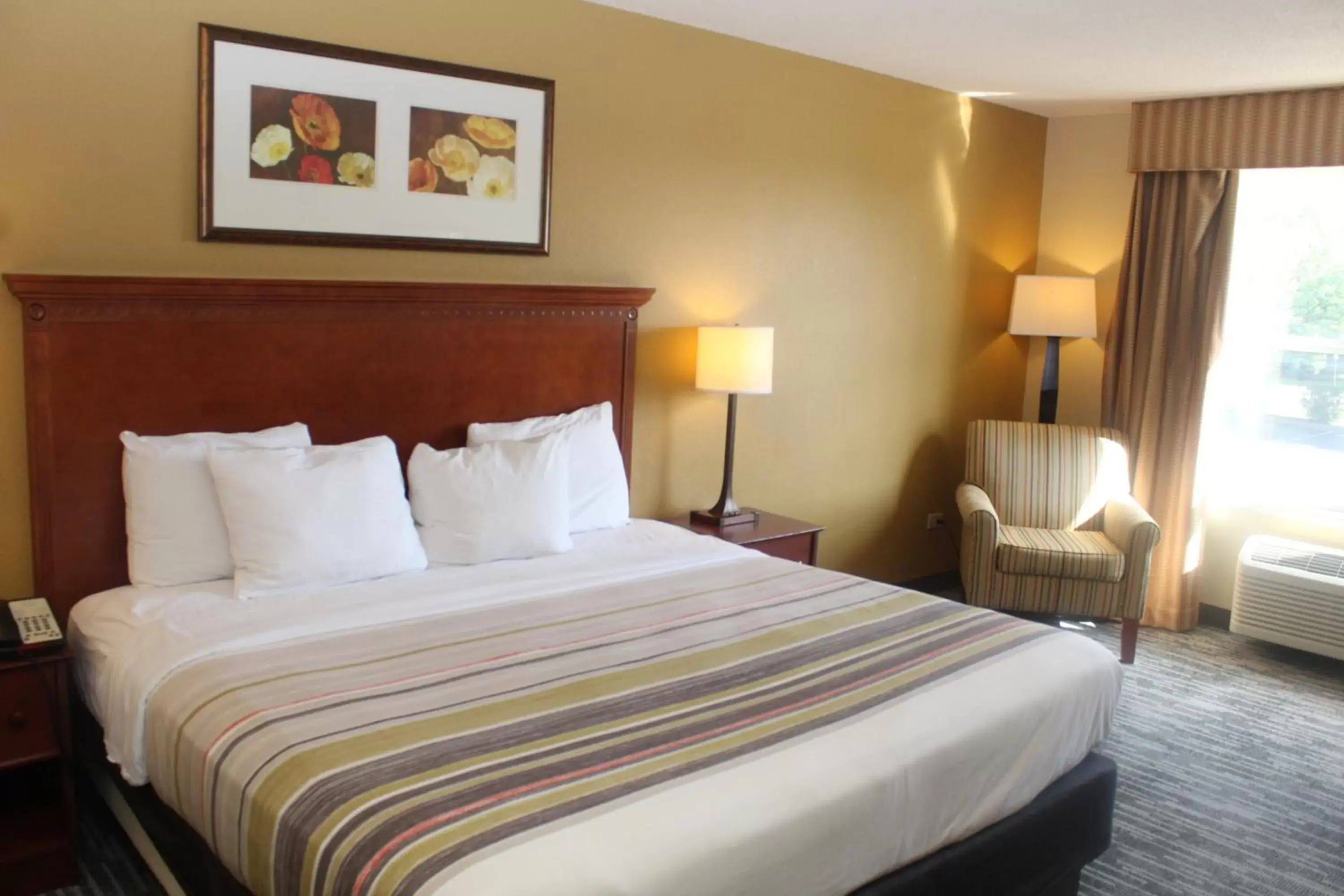 Photo of the whole room, Bed in Country Inn & Suites by Radisson, Crystal Lake, IL