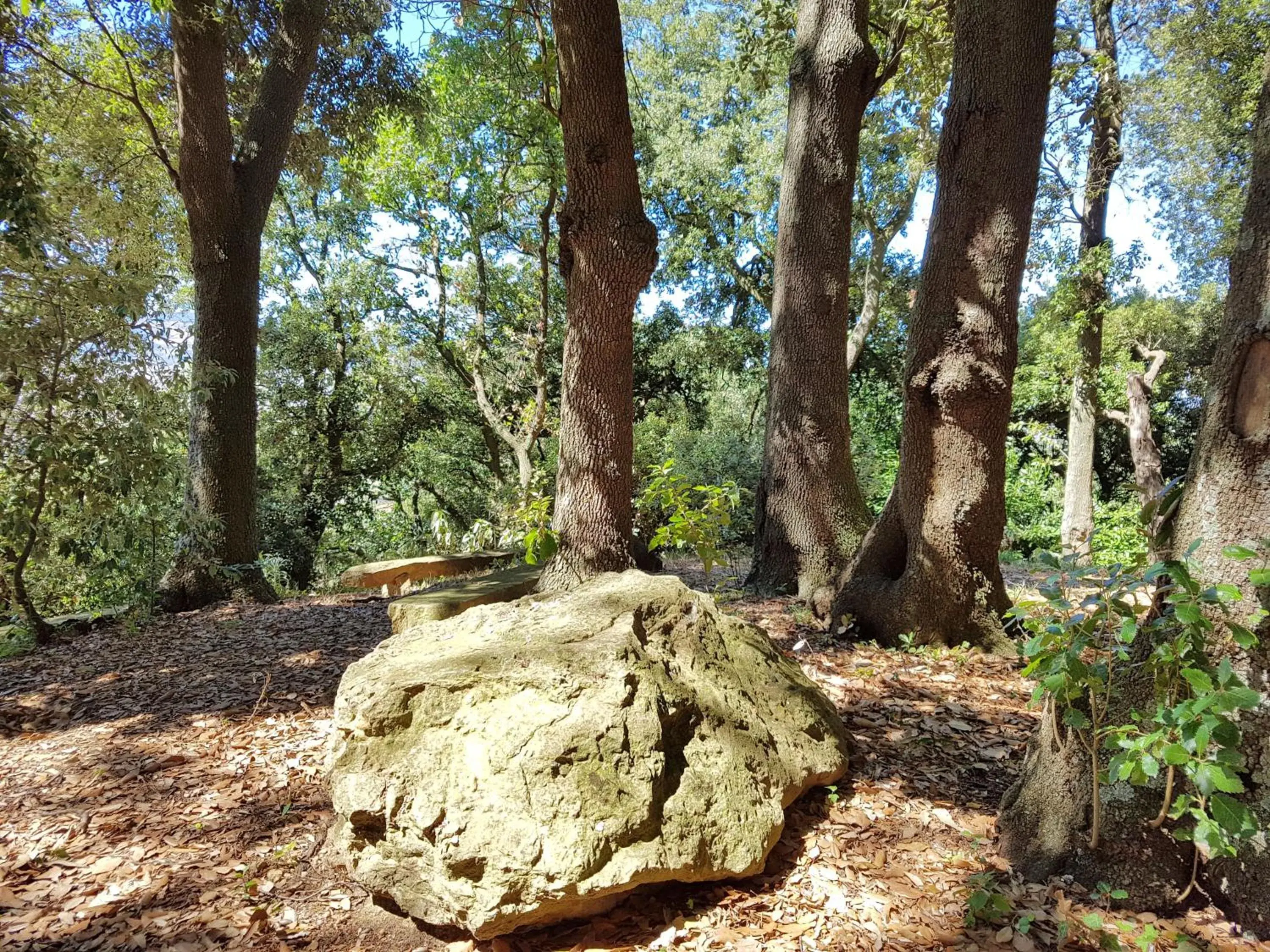 Garden, Natural Landscape in Villa Nencini