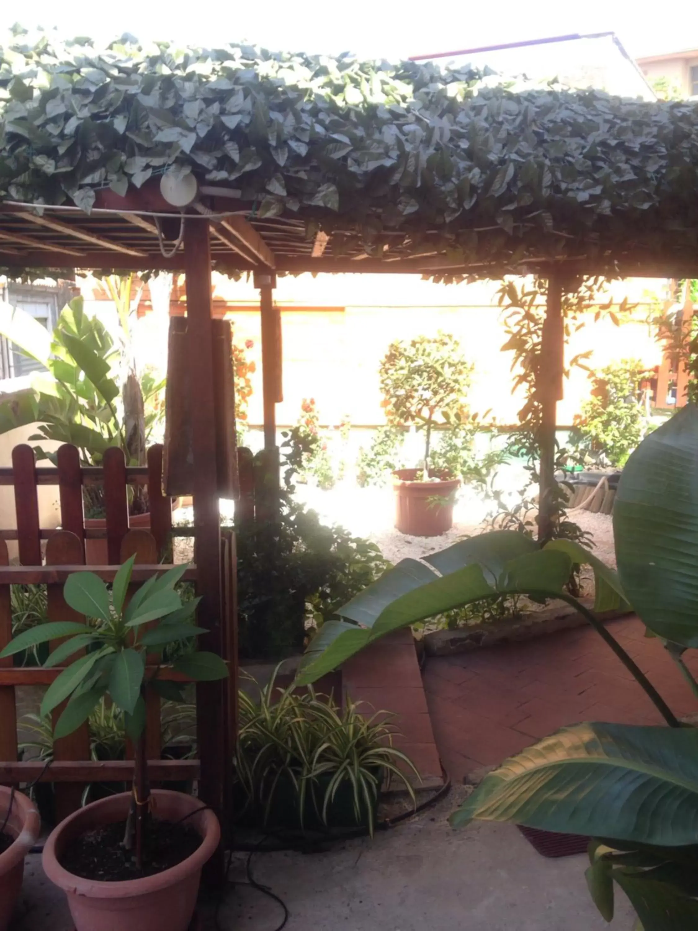 Garden view in San Nicolò House