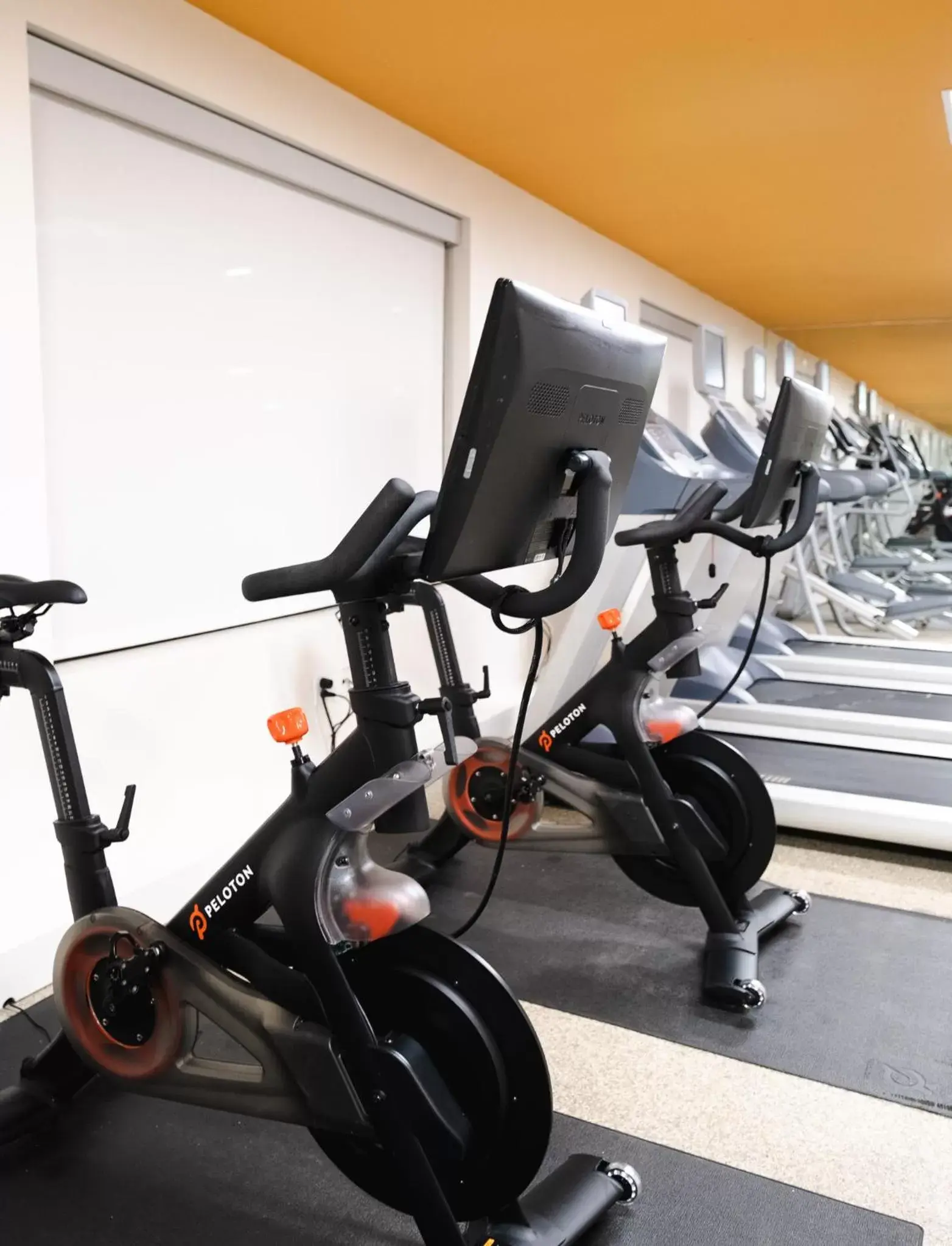 Activities, Fitness Center/Facilities in The Alexander, A Dolce Hotel