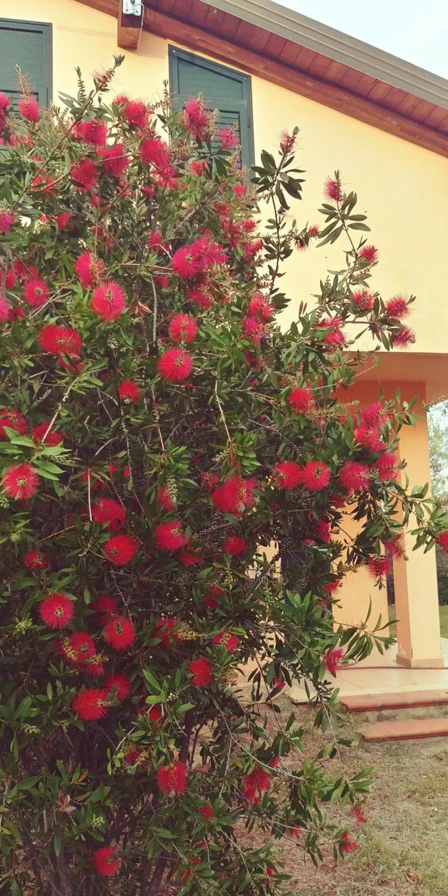 Garden in La Piana degli Ulivi