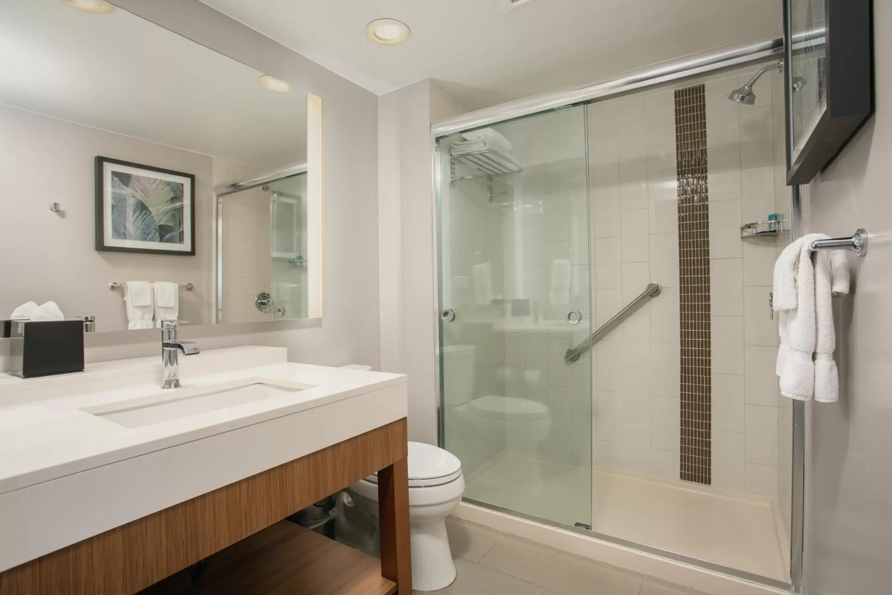 Shower, Bathroom in Hyatt Place San Juan