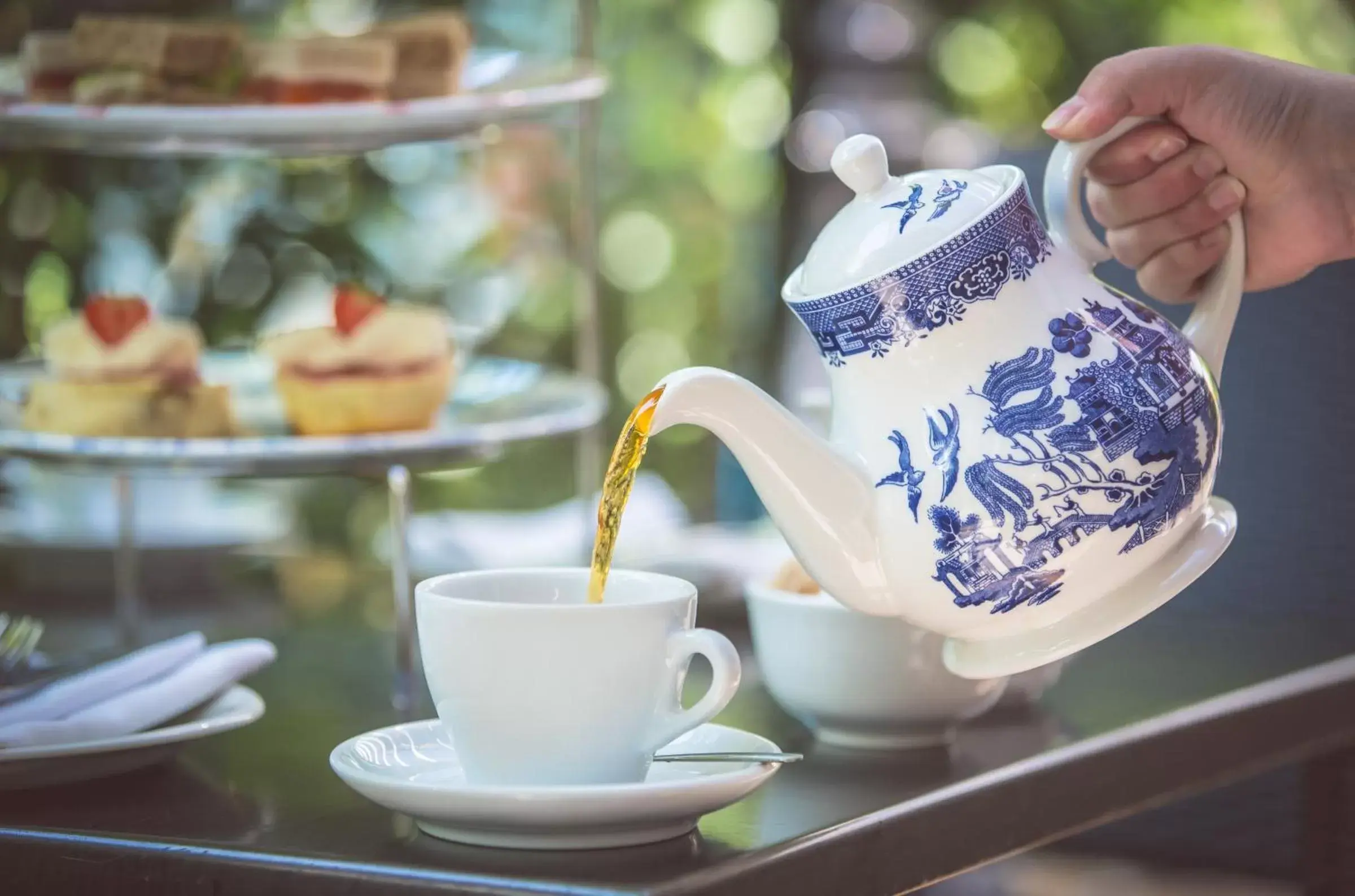 Food and drinks in The Malone Hotel Food and drinks in The Malone Hotel