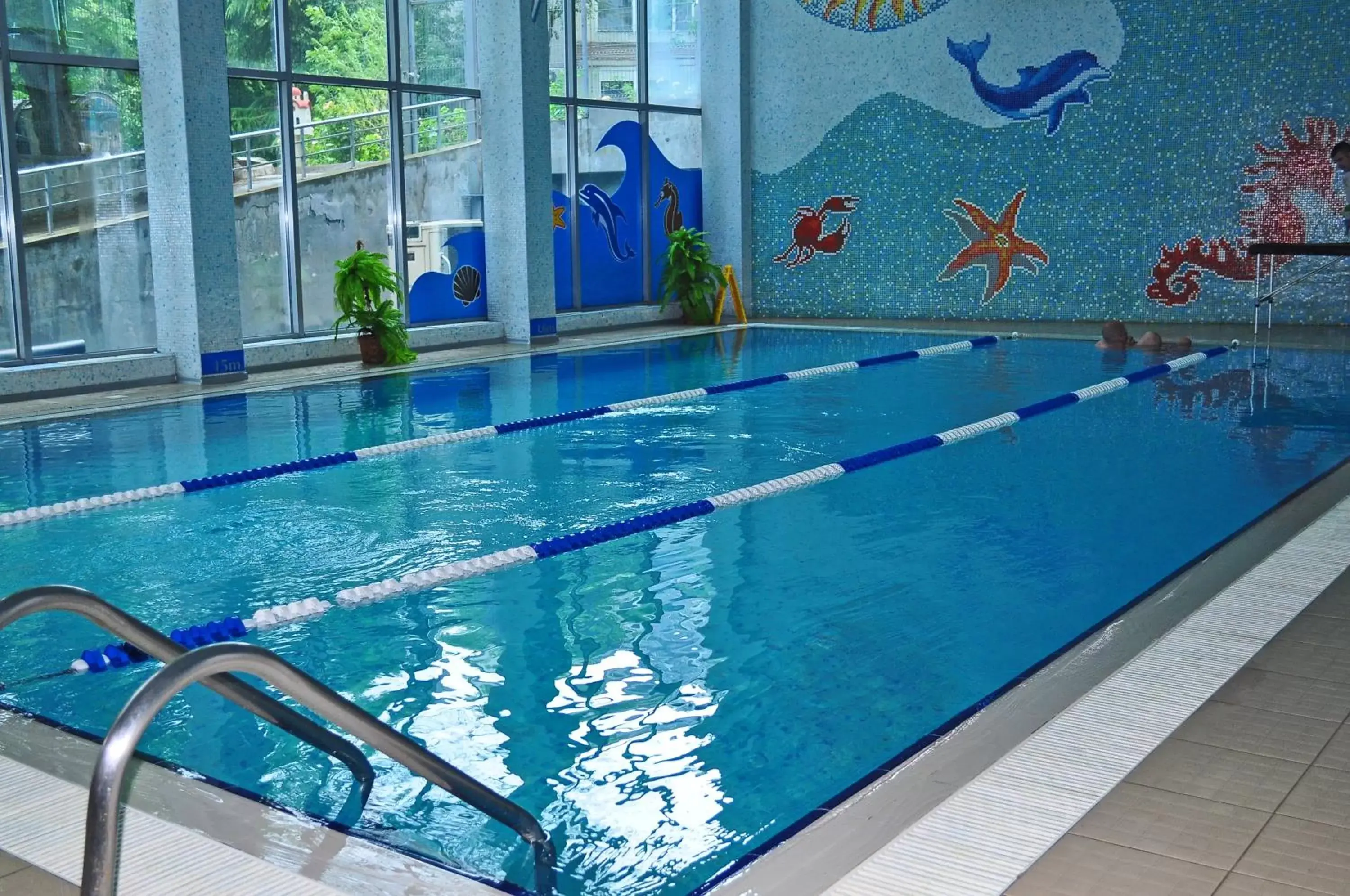 Spa and wellness centre/facilities, Swimming Pool in Aqua Hotel