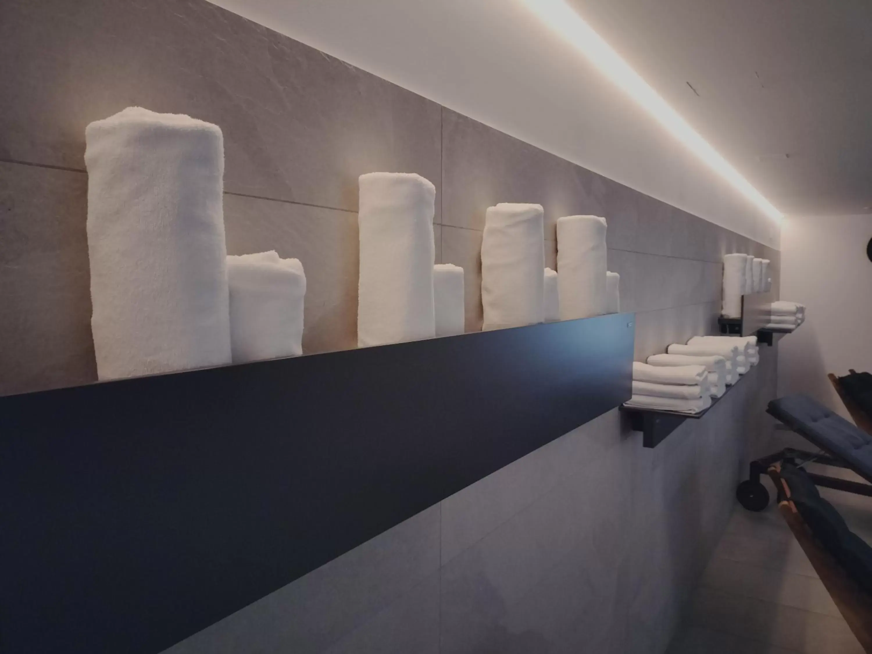 Spa and wellness centre/facilities, Bathroom in Hotel & Restaurant Forni