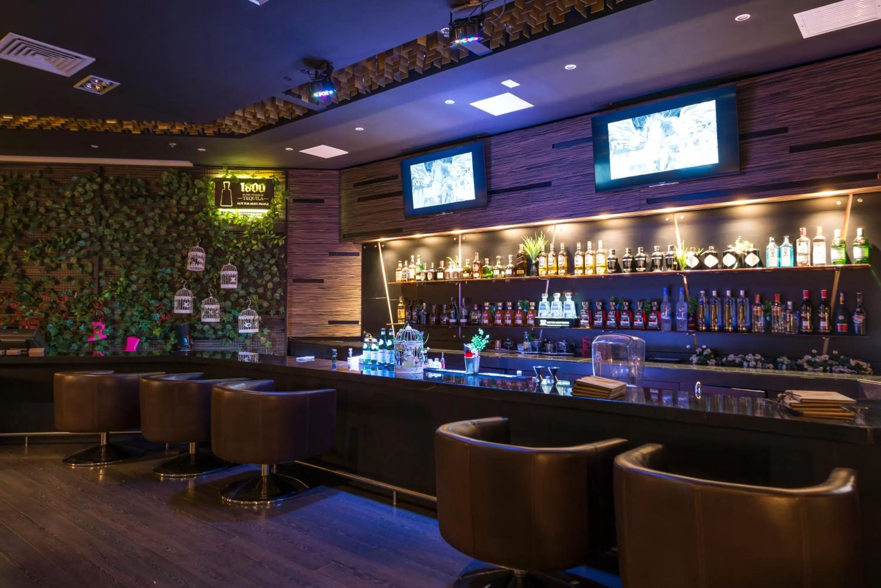 Lounge or bar in Movich Hotel de Pereira