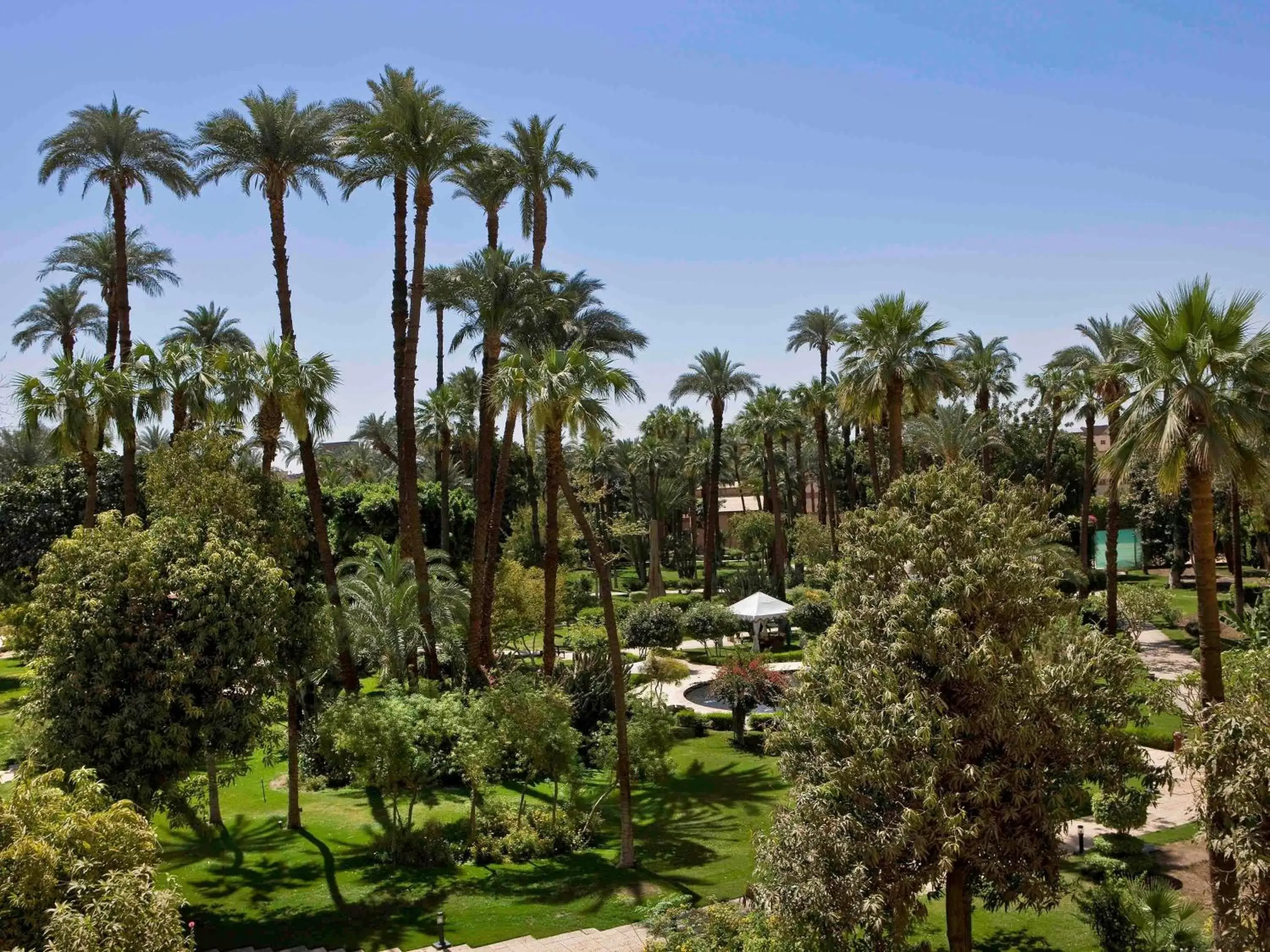 Photo of the whole room in Sofitel Winter Palace Luxor