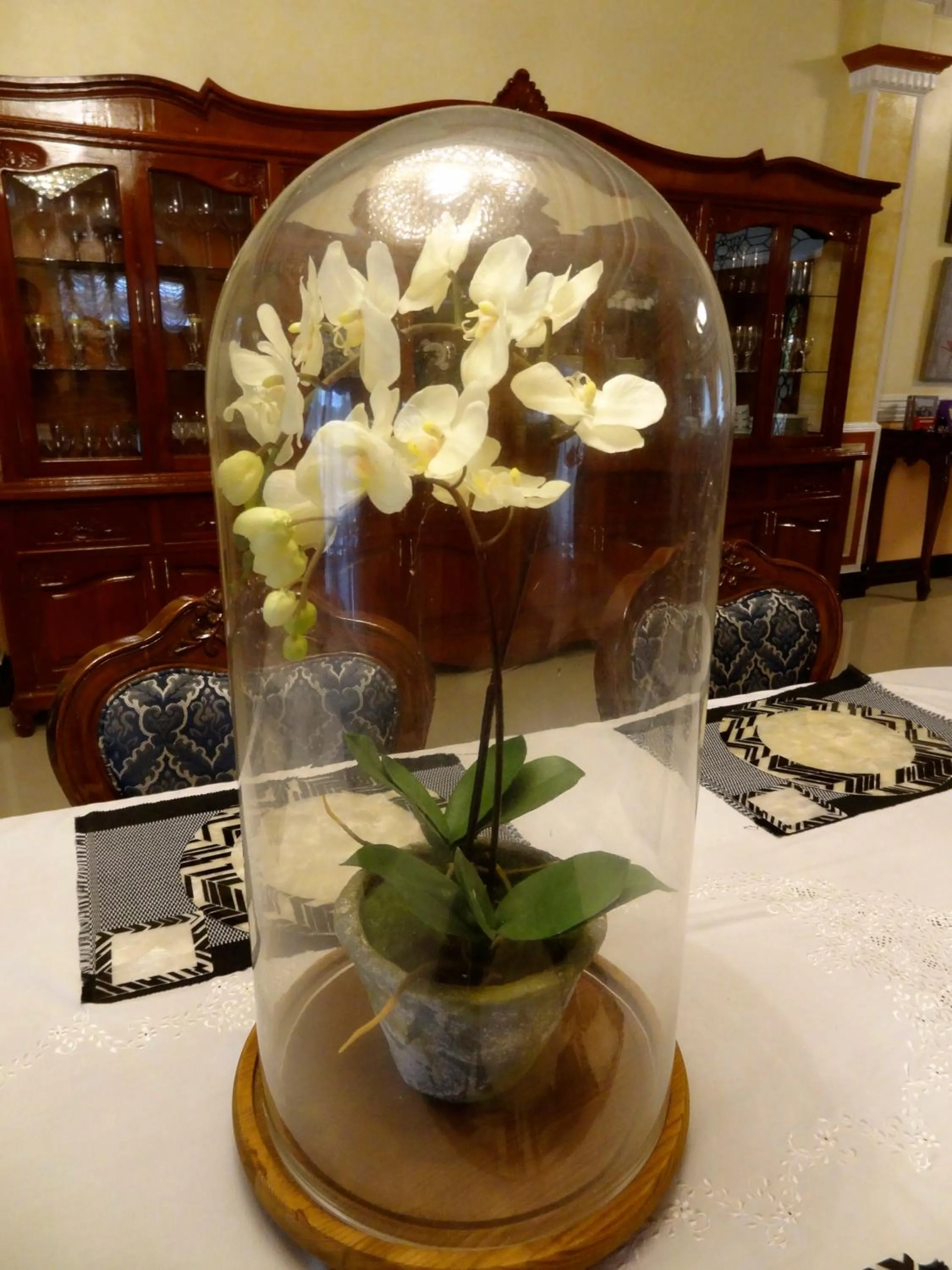 The Executive Villa Inn & Suites