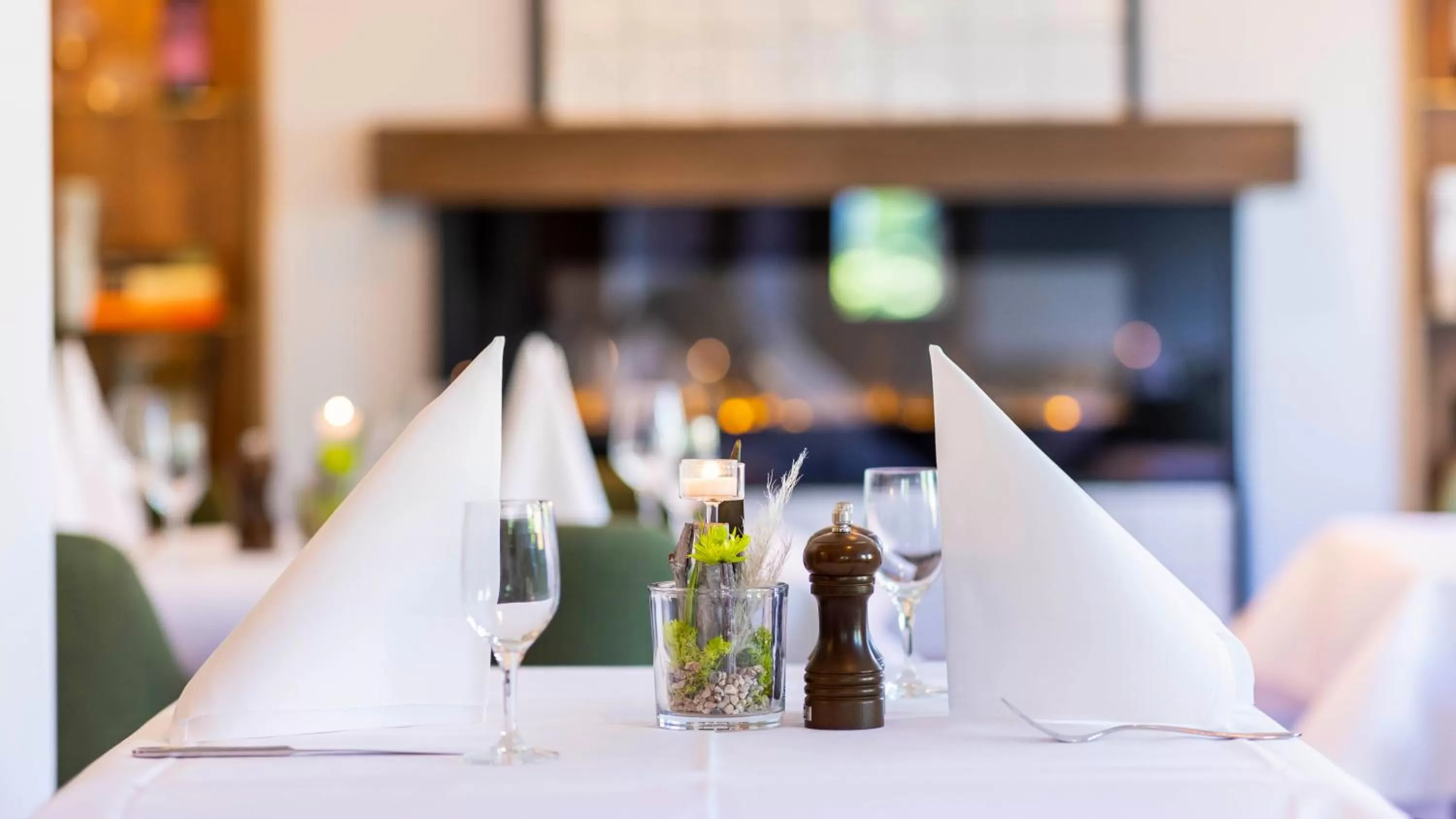 Restaurant/places to eat in Hotel BUTZ