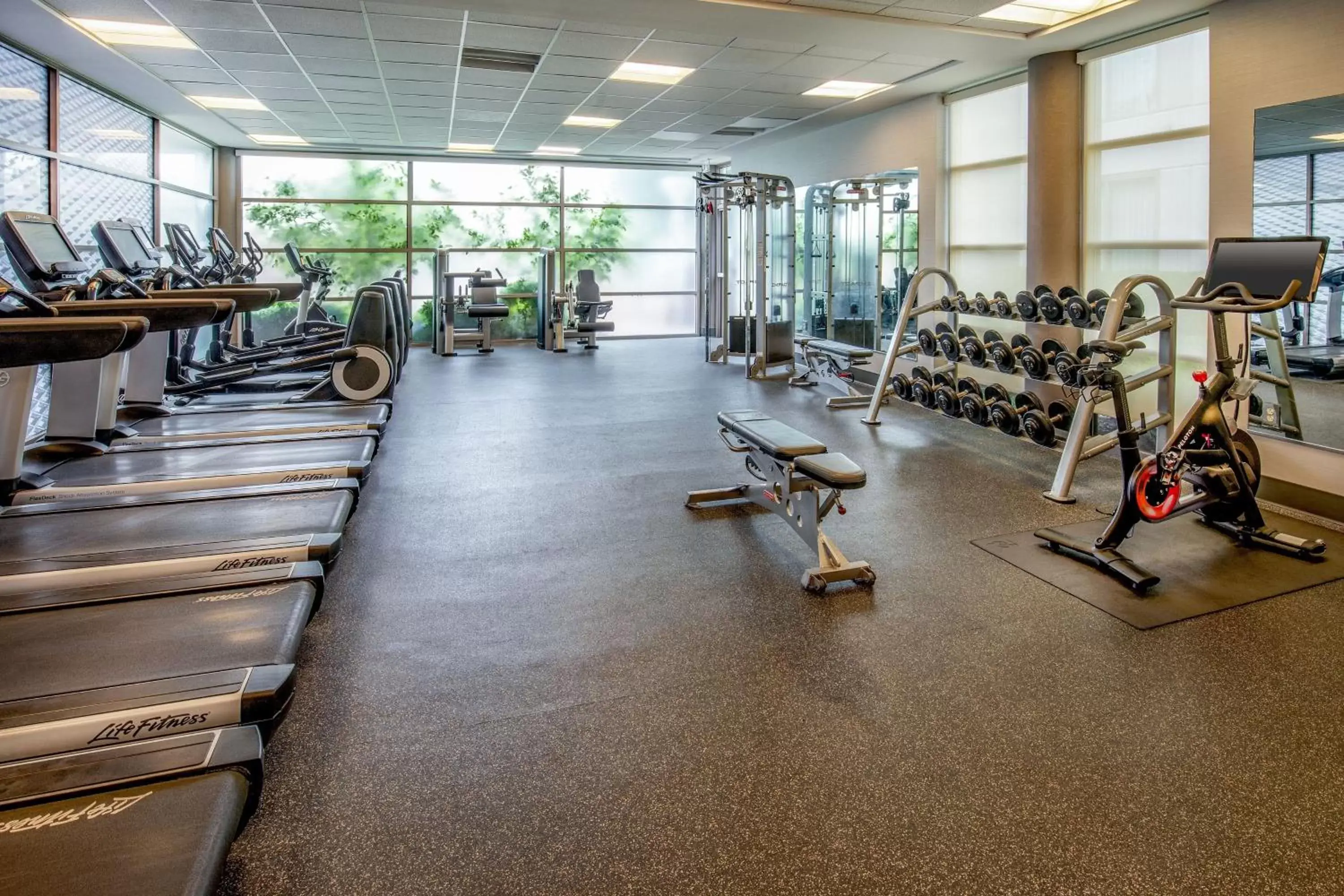 Fitness centre/facilities, Fitness Center/Facilities in Delta Hotels by Marriott Chesapeake Norfolk