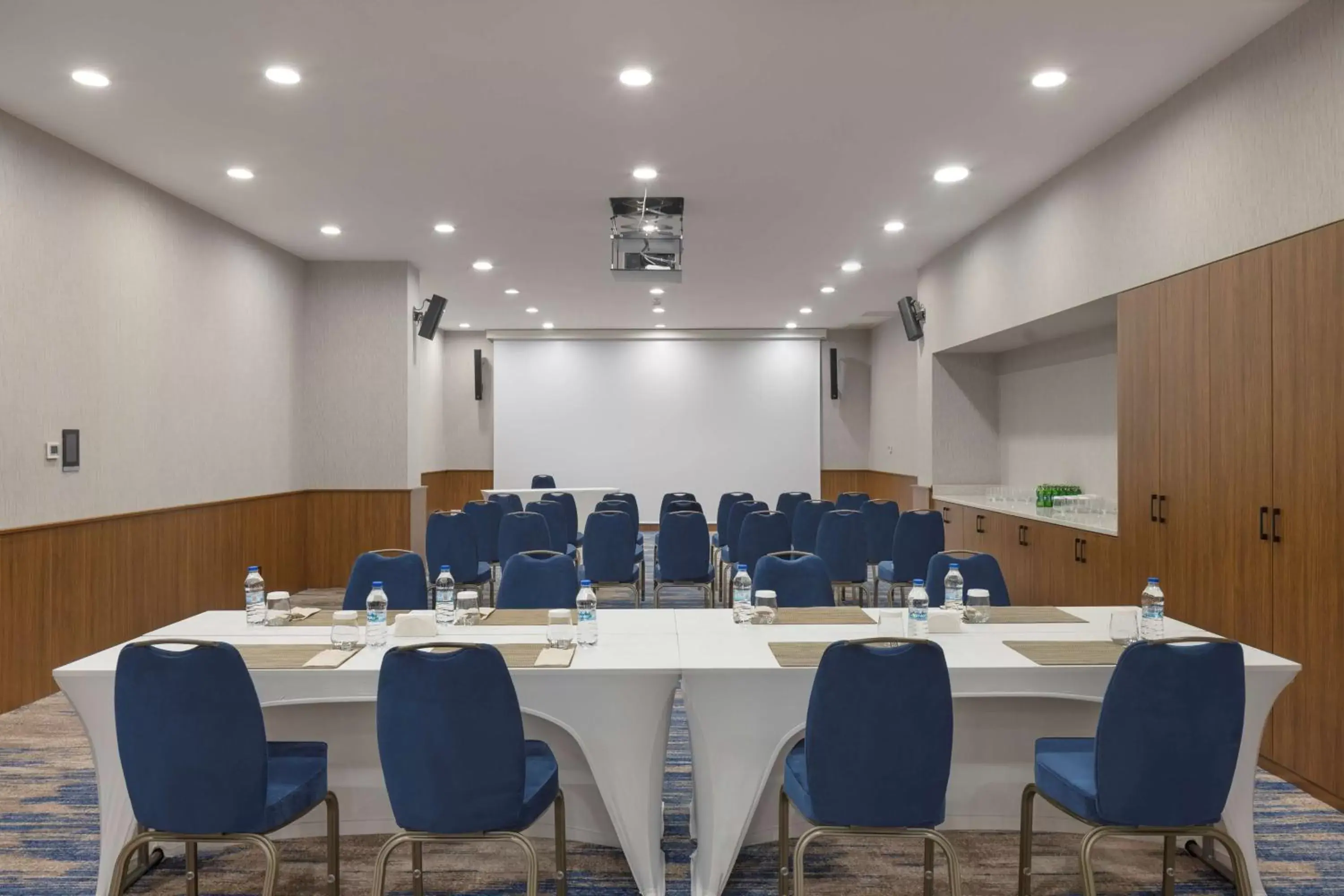Meeting/conference room in Hampton By Hilton Istanbul Airport, Arnavutkoy