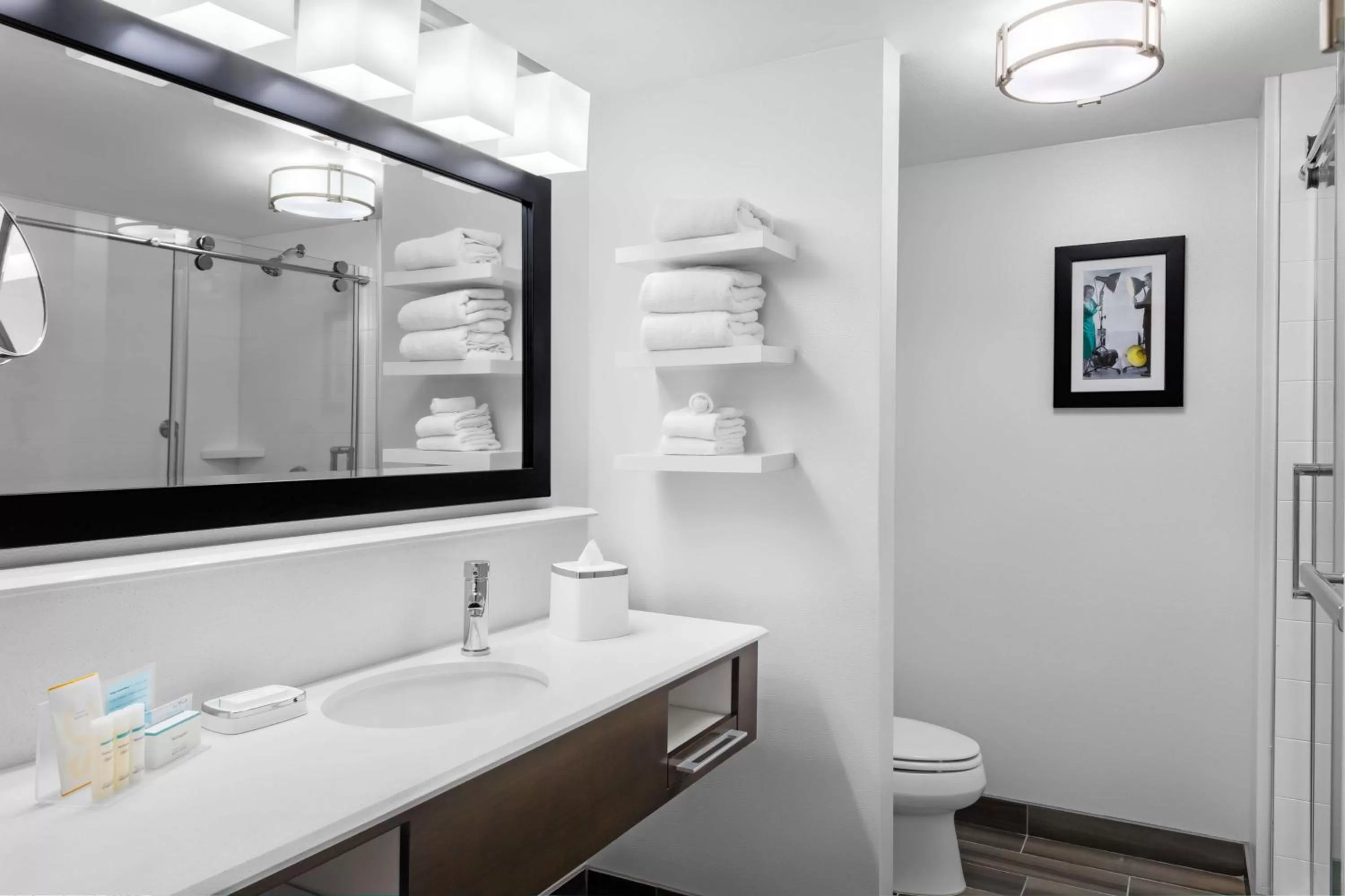 Bathroom in Hampton Inn & Suites Los Angeles/Hollywood, CA