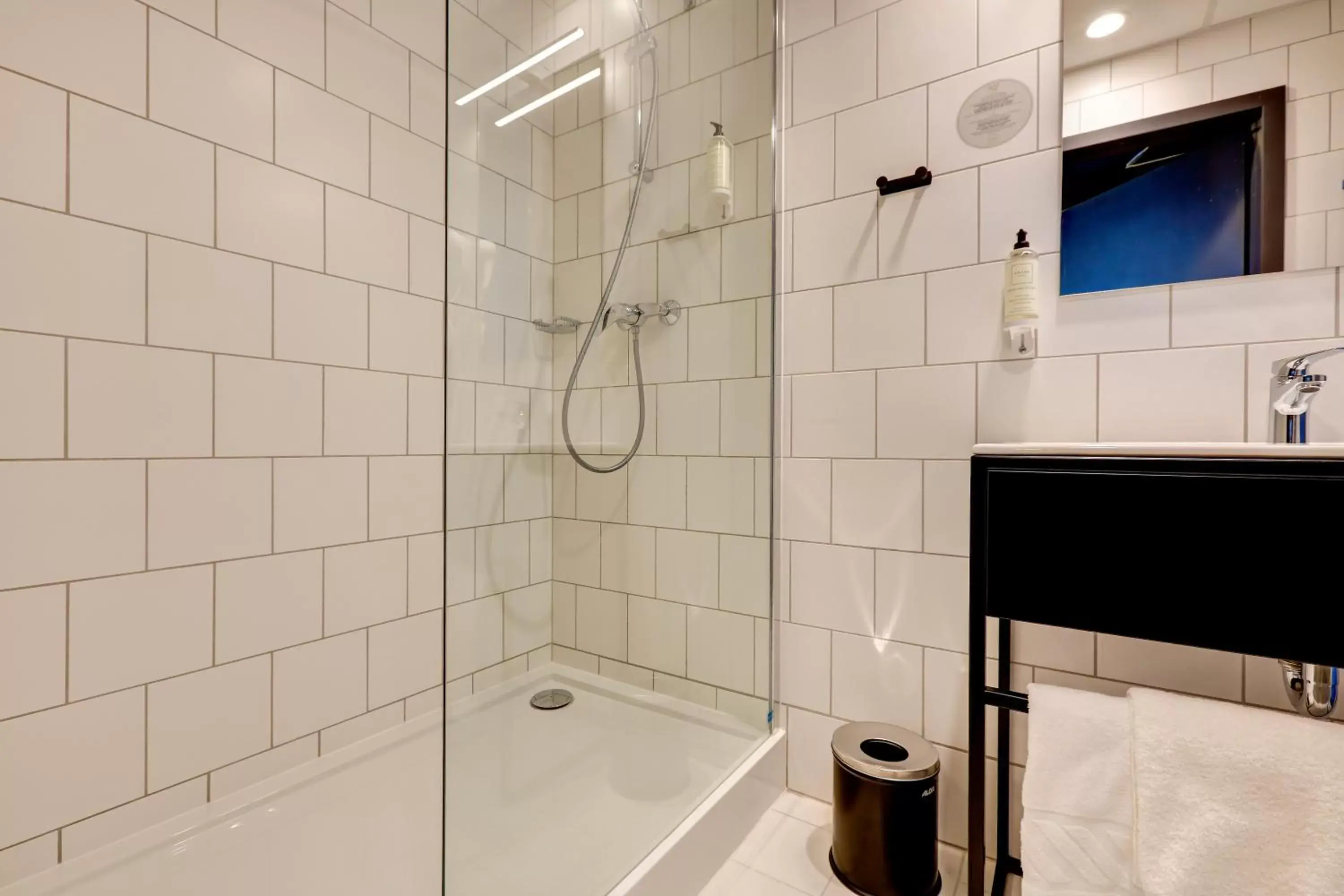 Shower, Bathroom in Hotel Arche Geologiczna