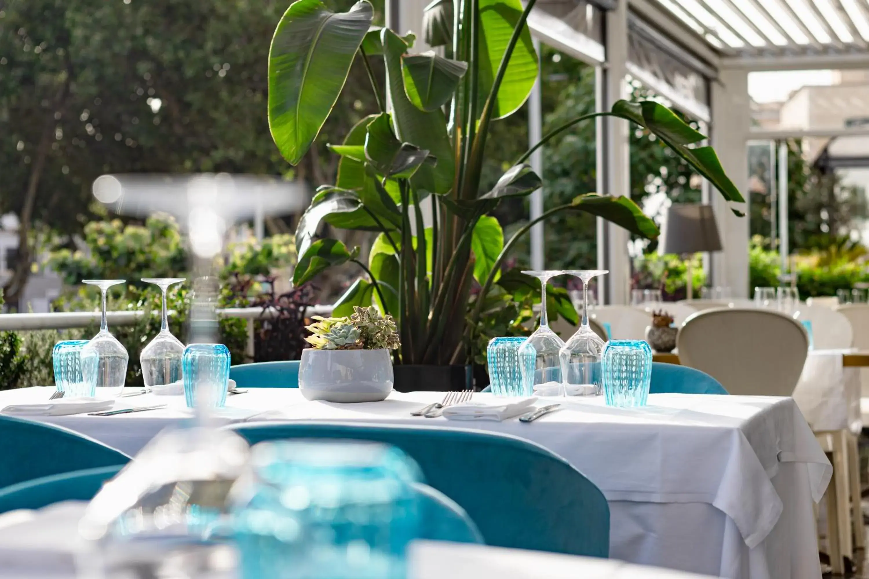 Restaurant/places to eat in Villa Zaccardi Restaurant/places to eat in Villa Zaccardi