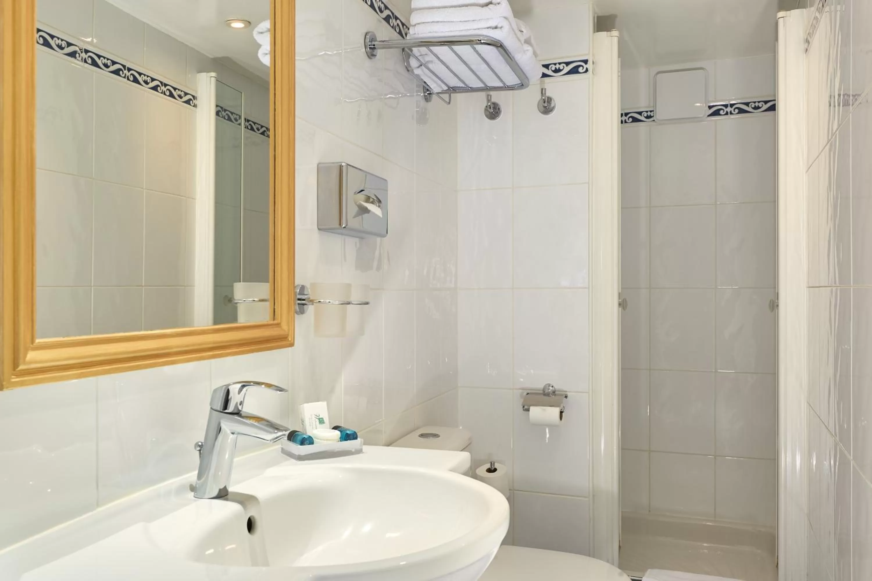 Shower in Austin's Arts Et Metiers Hotel