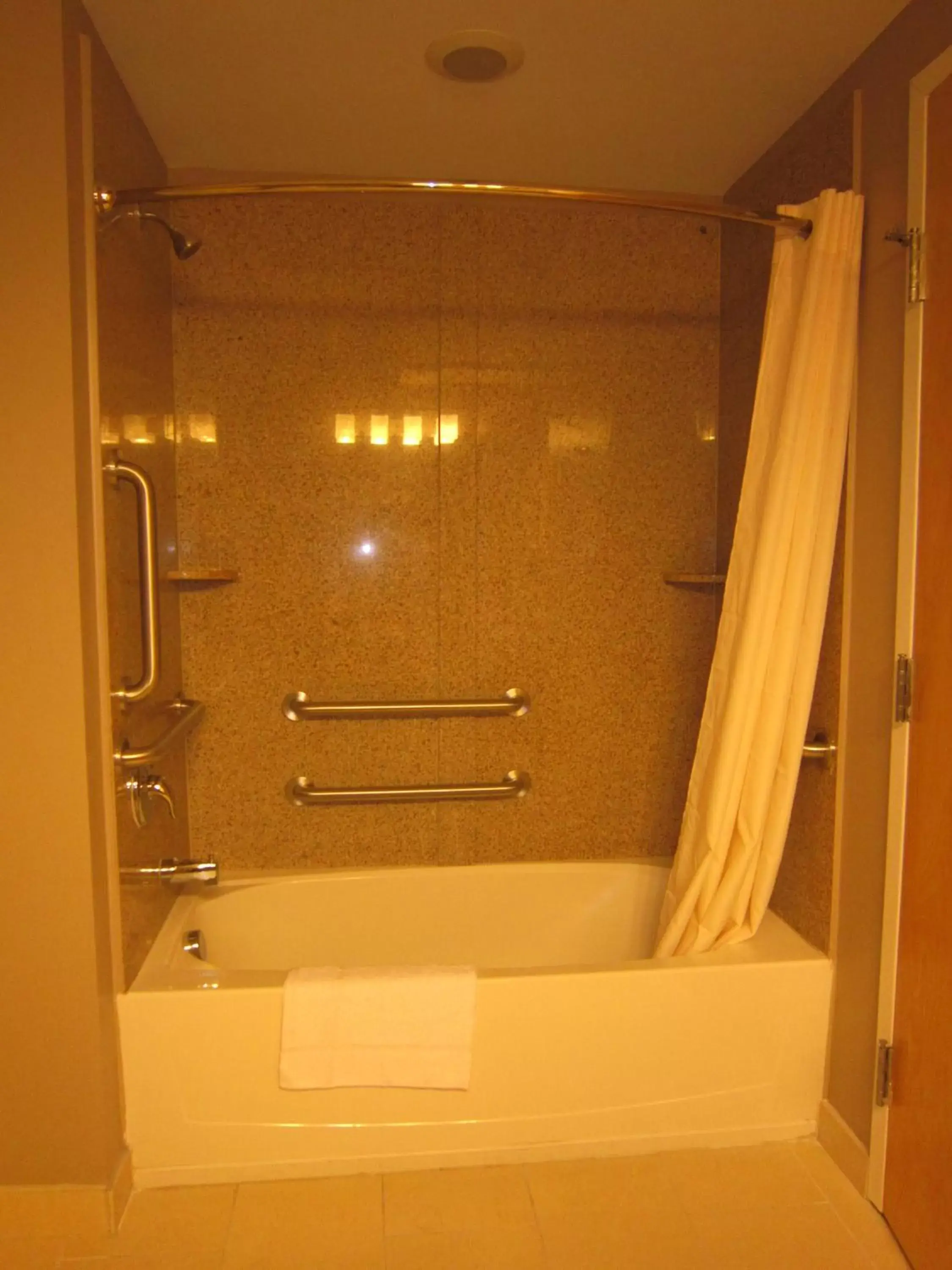 Shower, Bathroom in Red Carpet Inn and Suites Monmouth Junction