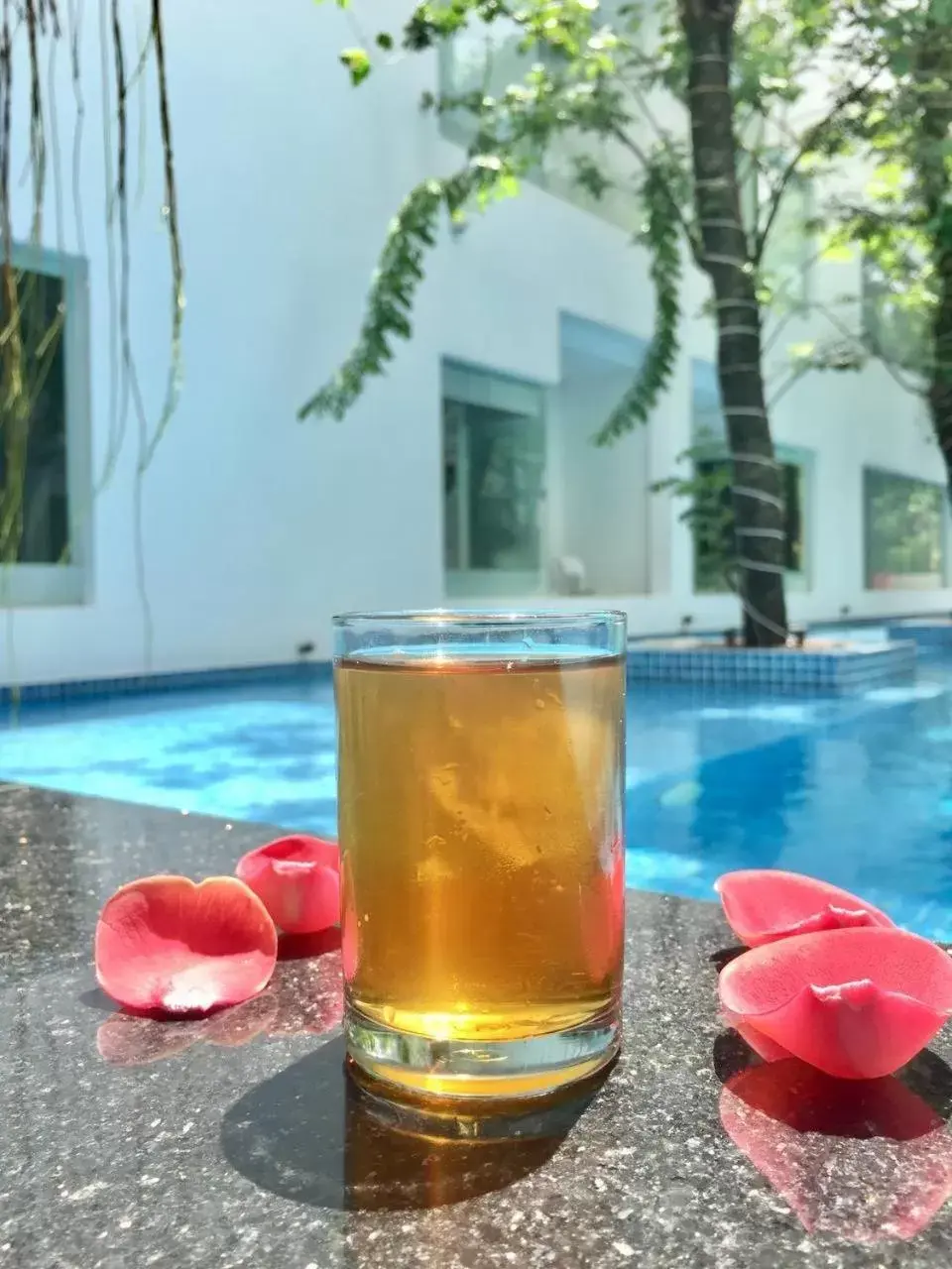 Drinks, Swimming Pool in Chan Boutique