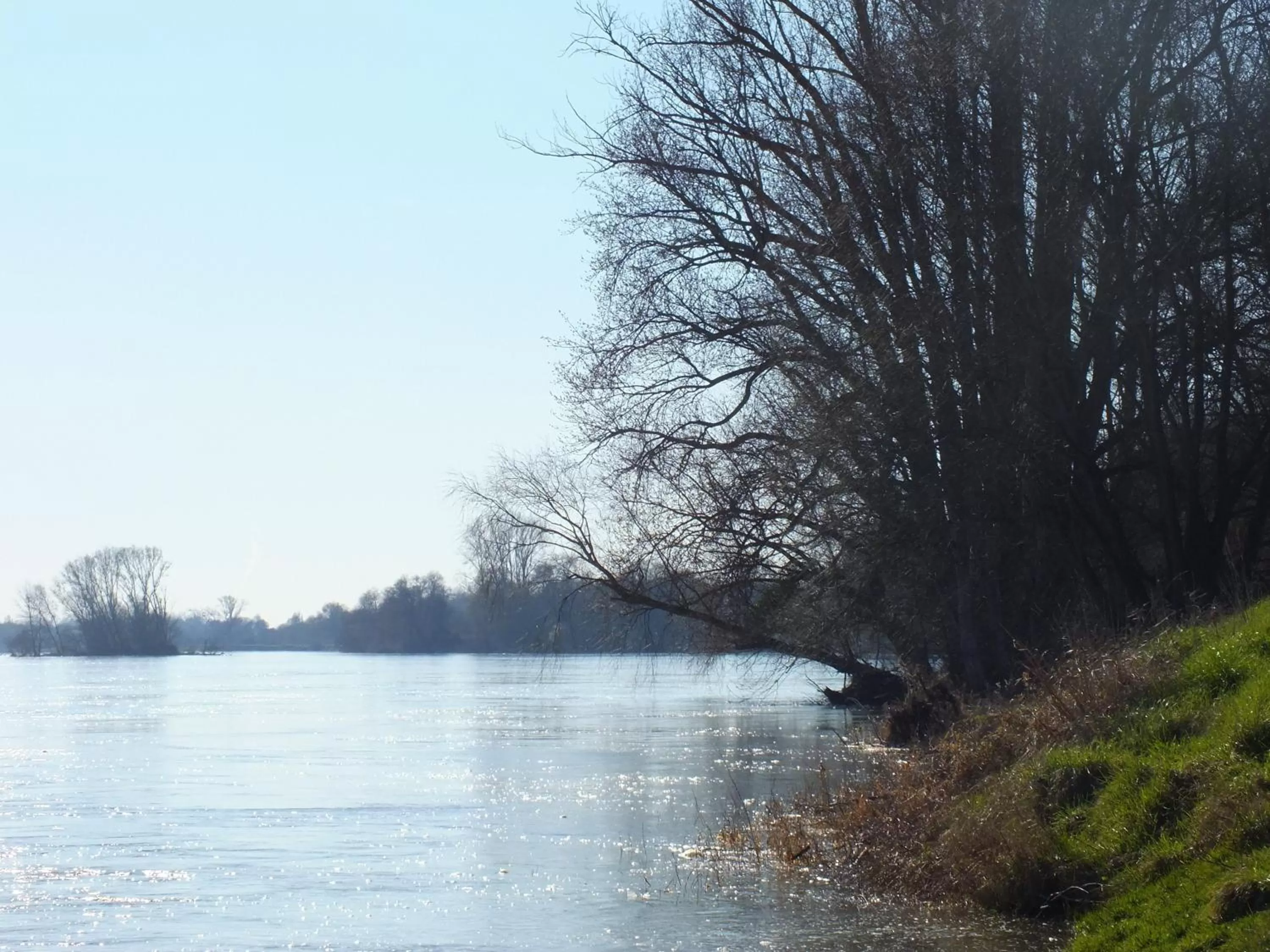 Fishing in A la Fleur de Lys
