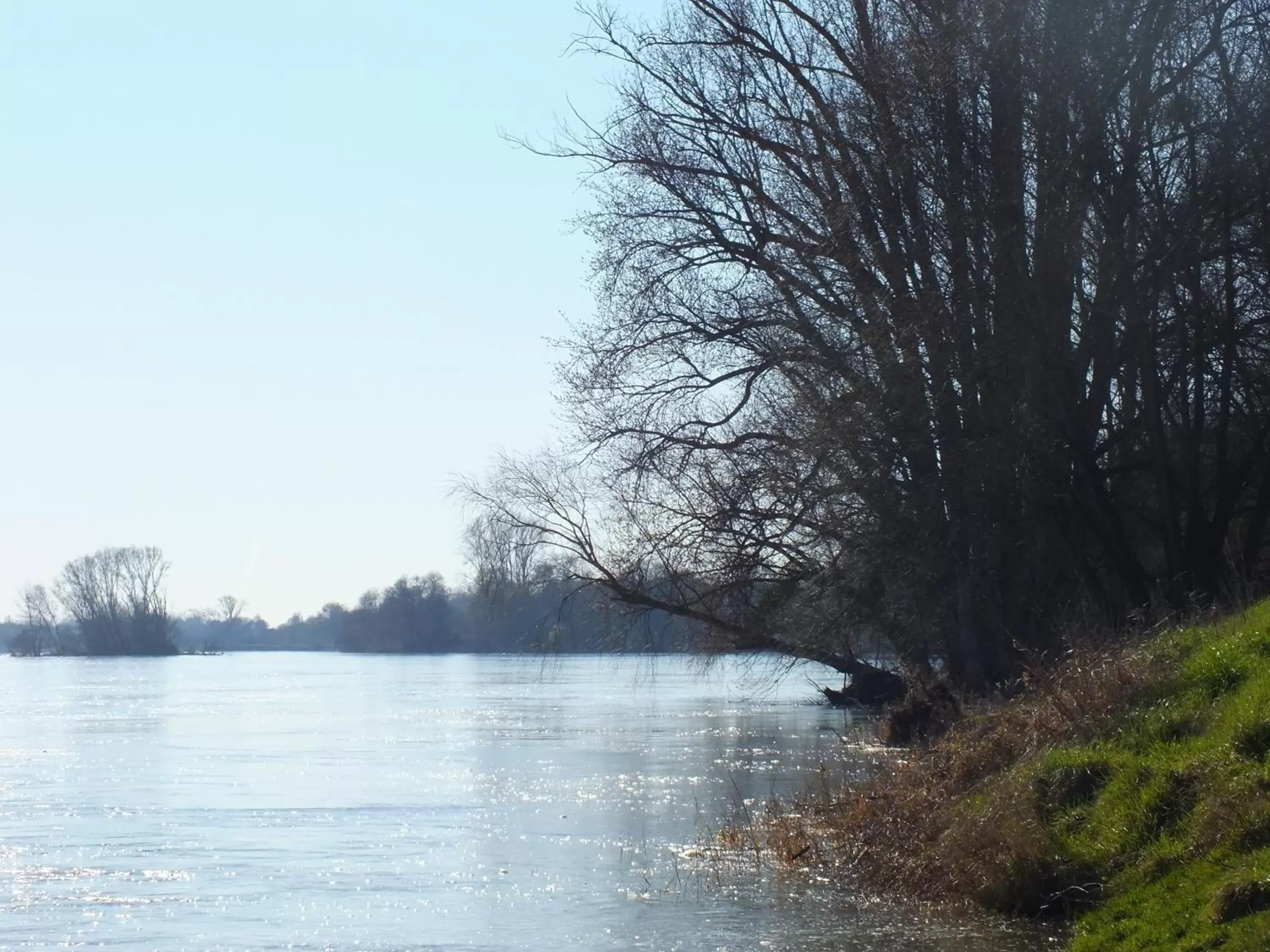 Fishing in A la Fleur de Lys