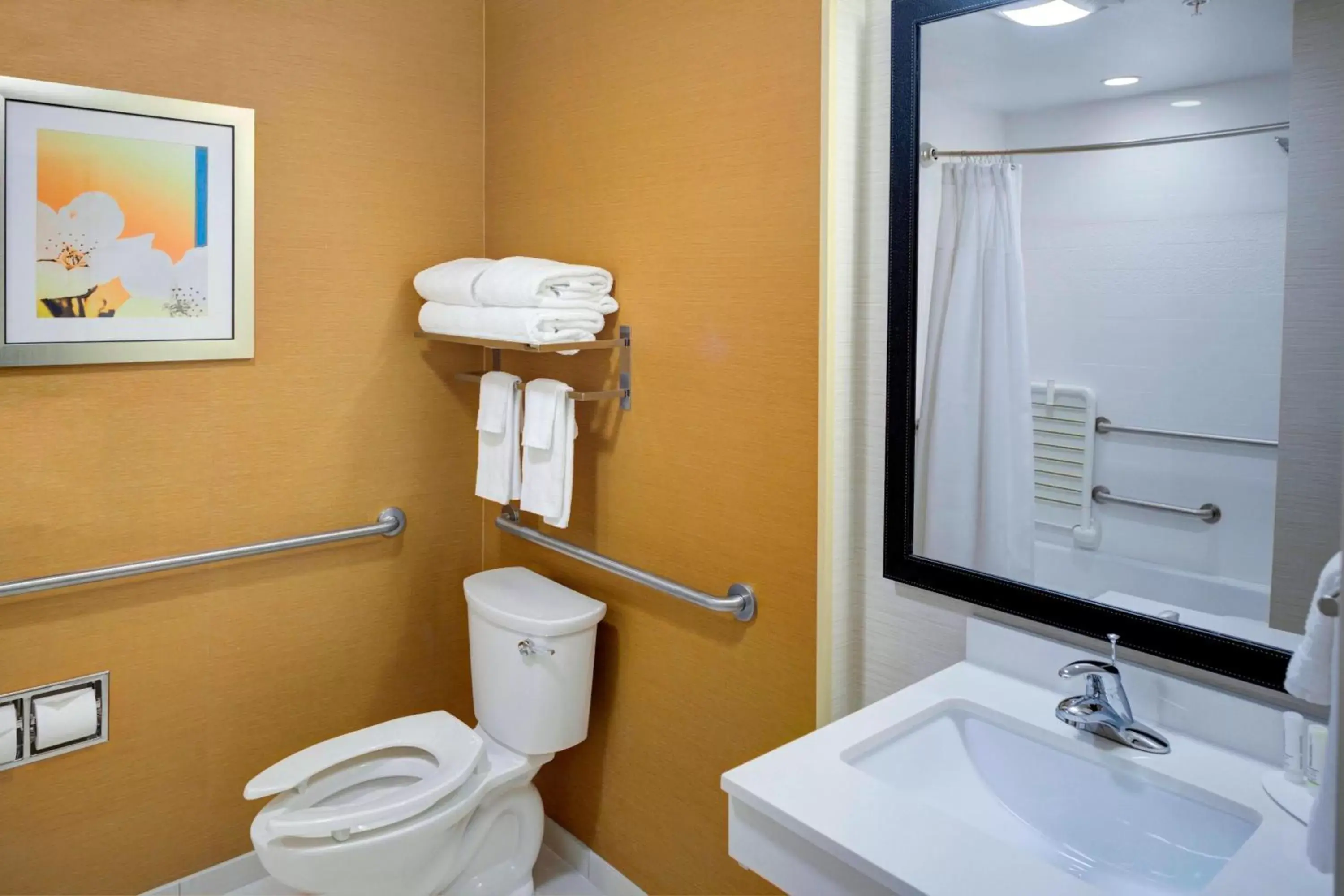 Bathroom in Fairfield Inn & Suites by Marriott Hollister