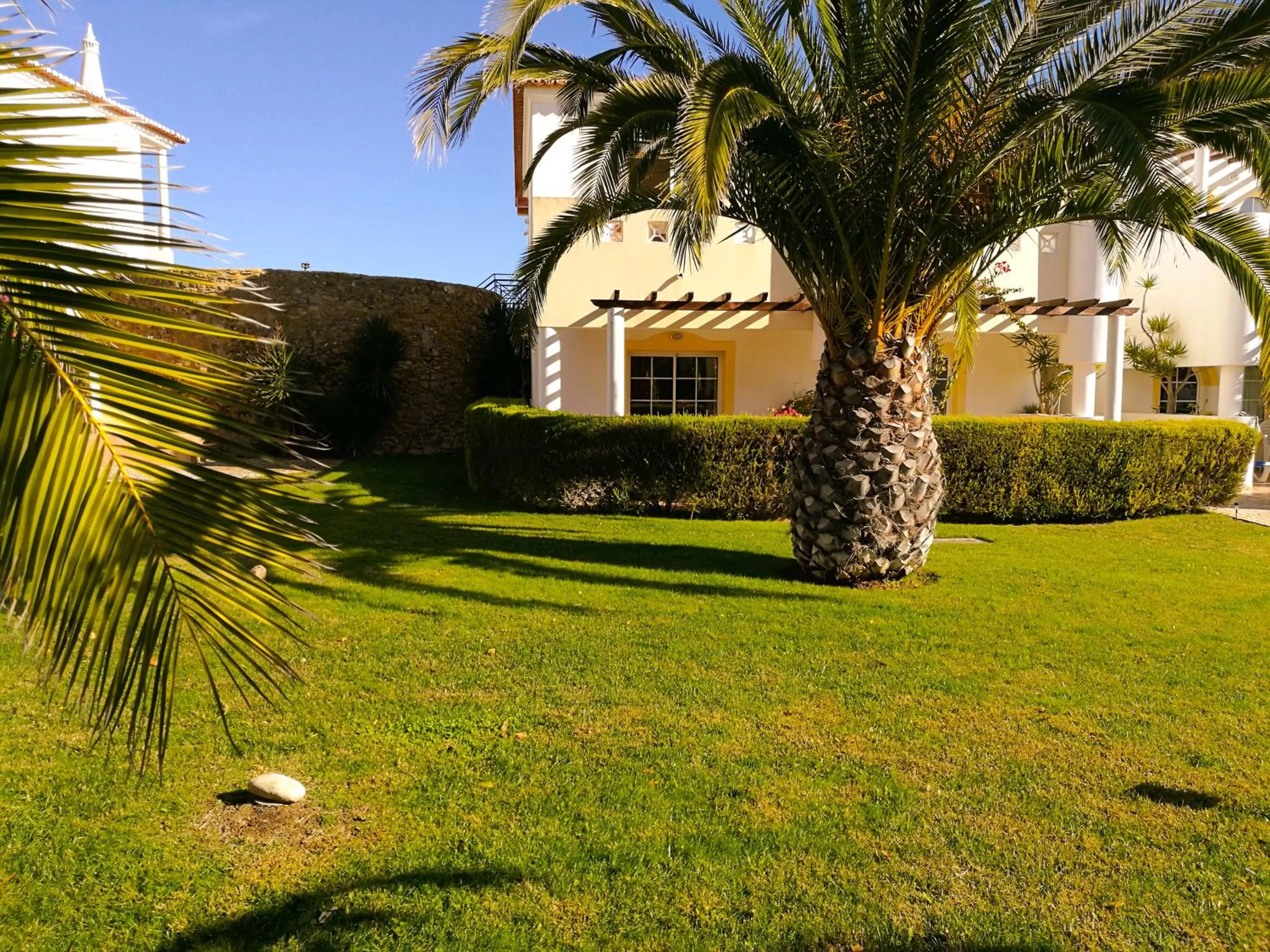 Garden in Club House CVL