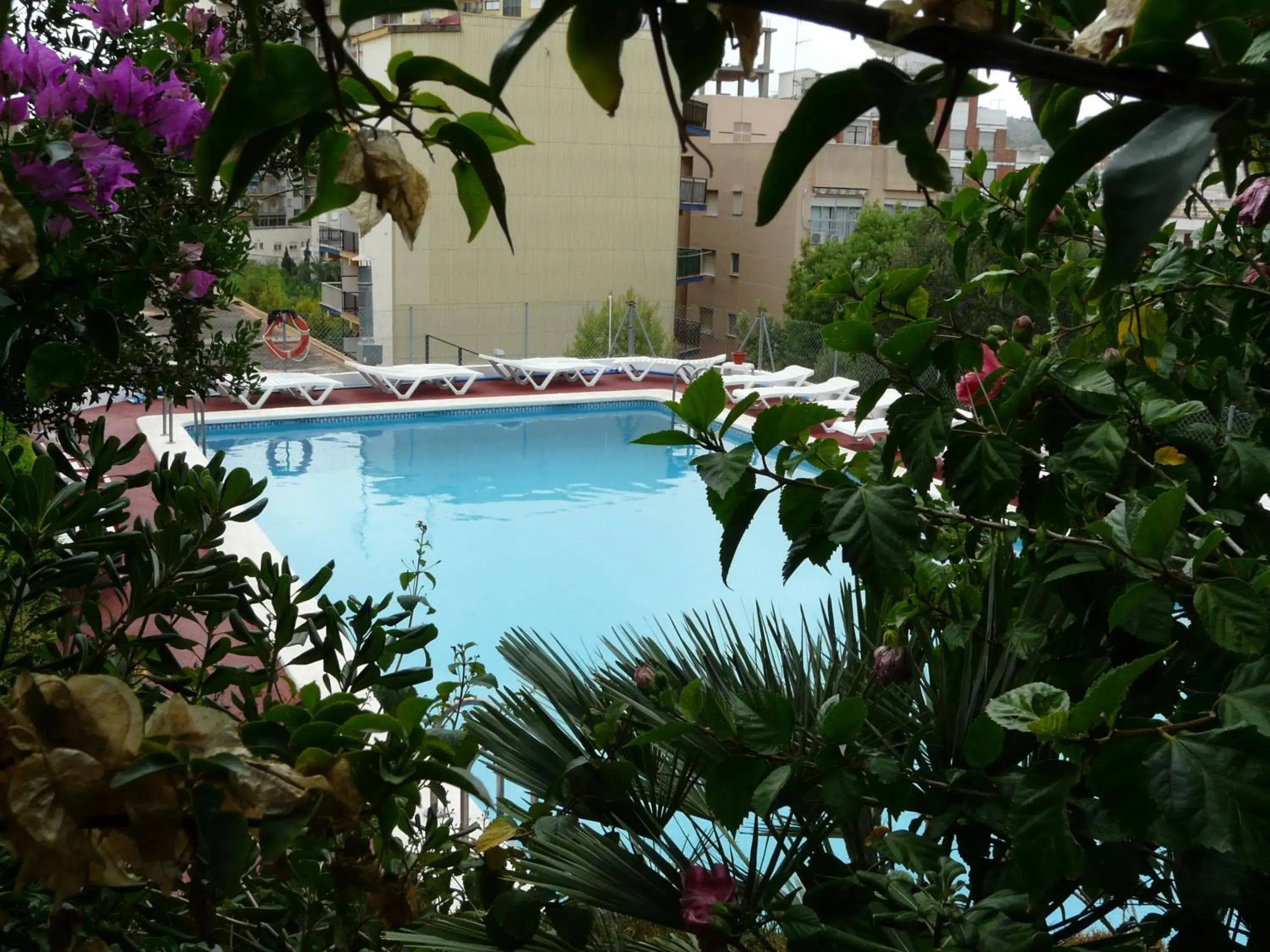Swimming Pool in Hotel Jard