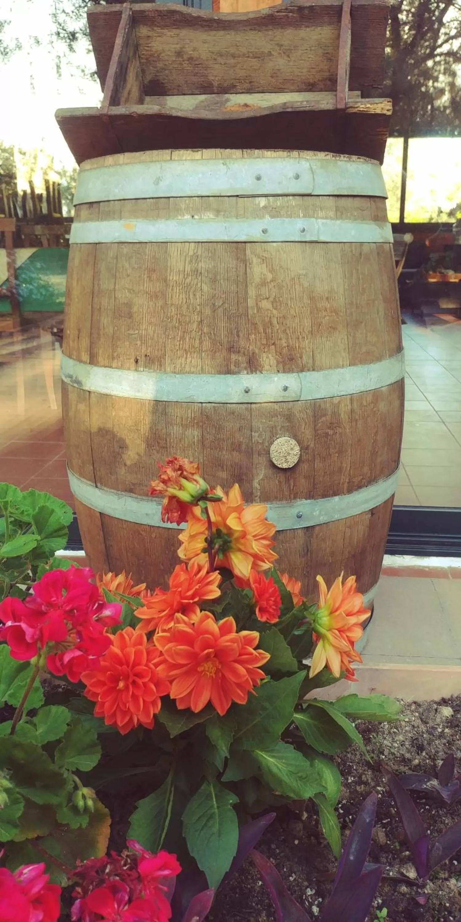 Garden in La Piana degli Ulivi