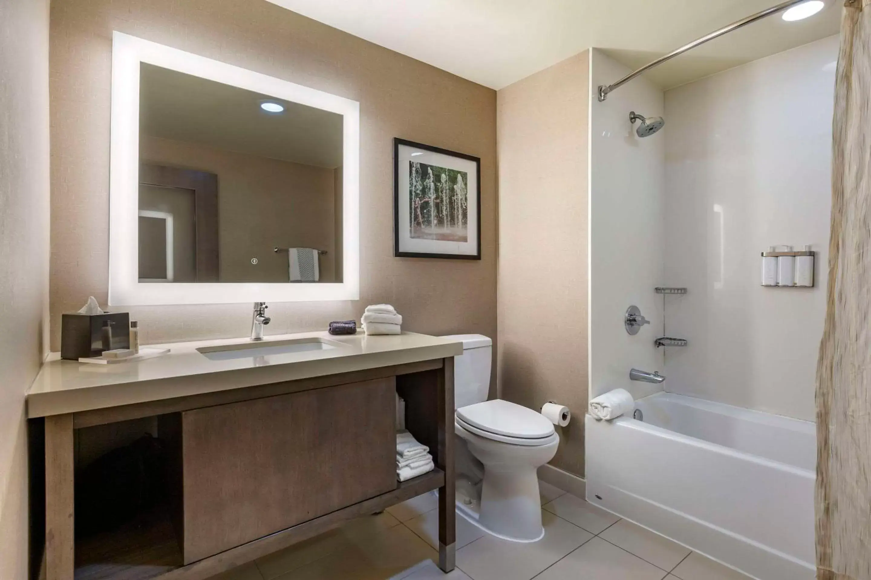 Bedroom, Bathroom in Cambria Hotel Rockville