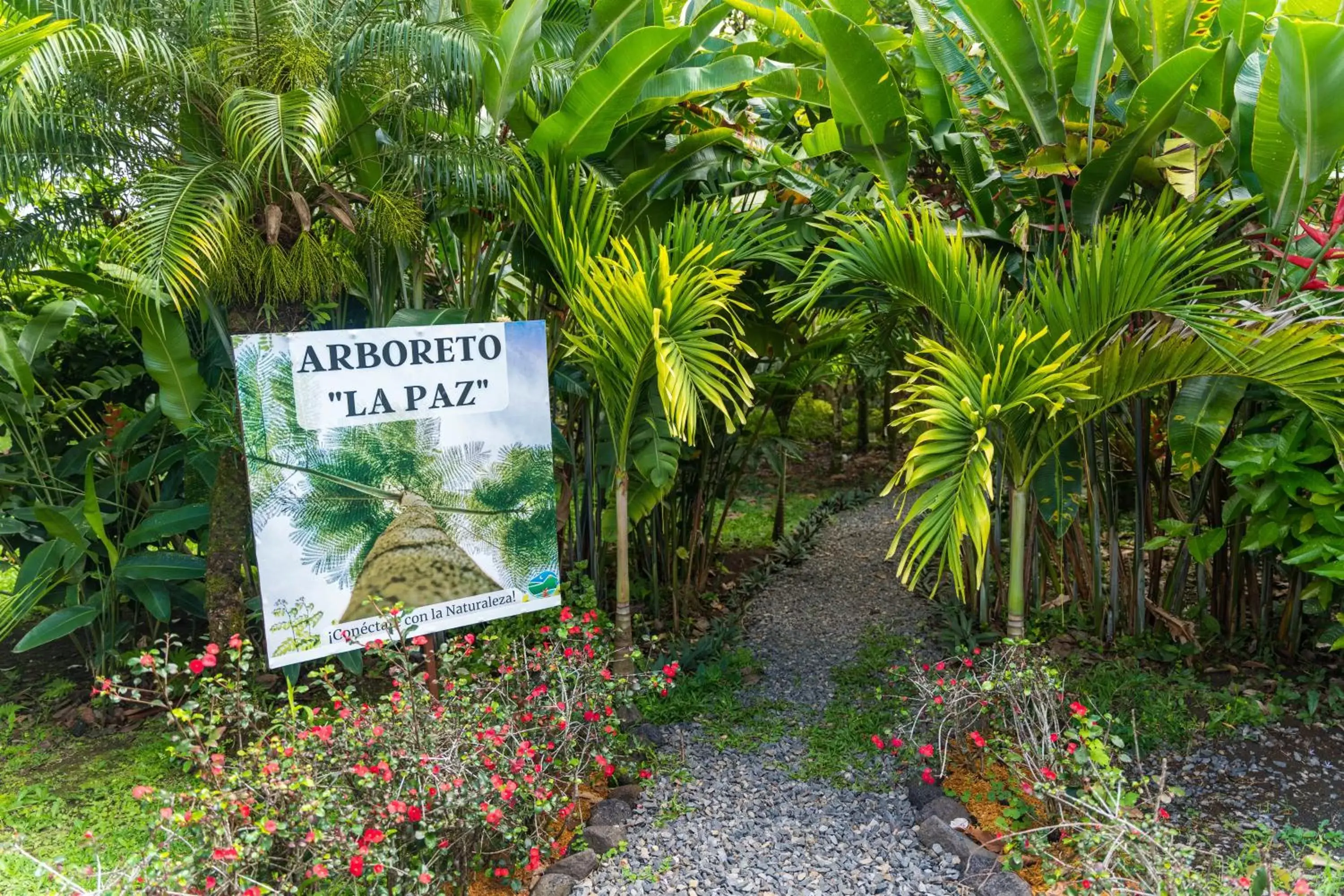 Garden in Hotel Vista del Cerro