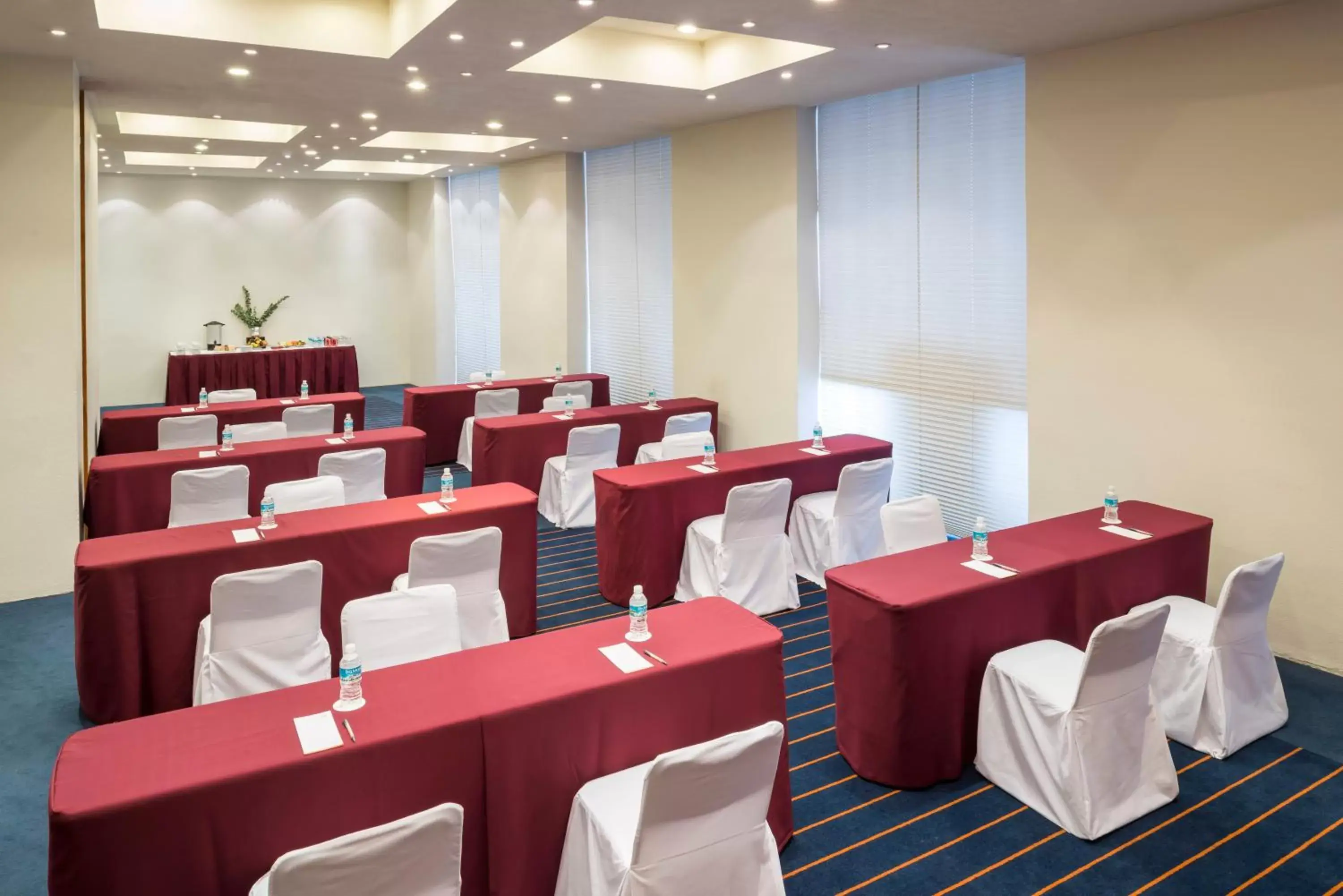 Meeting/conference room in Real Inn San Luis Potosi