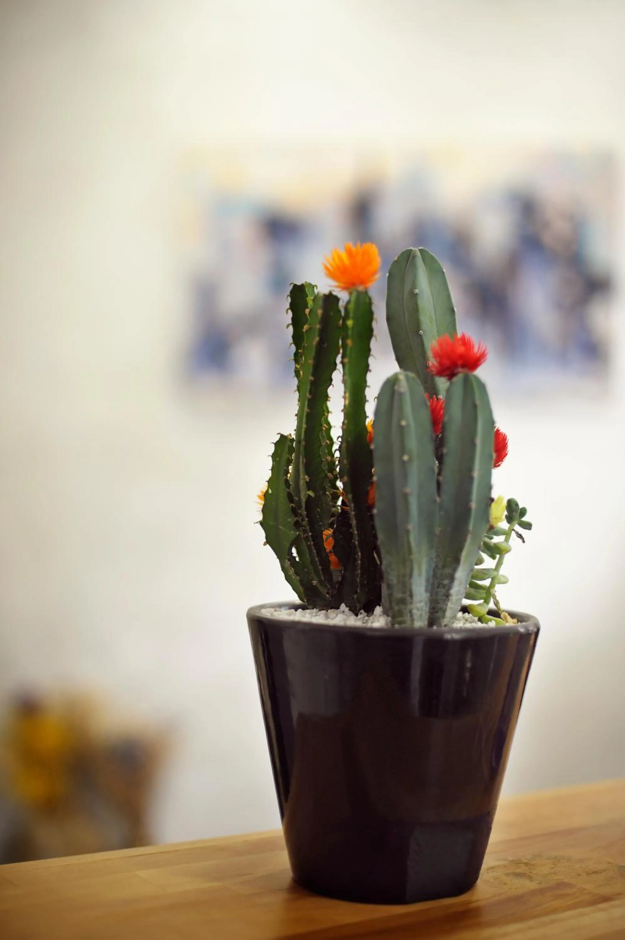 Decorative detail in Hotel Fioralba