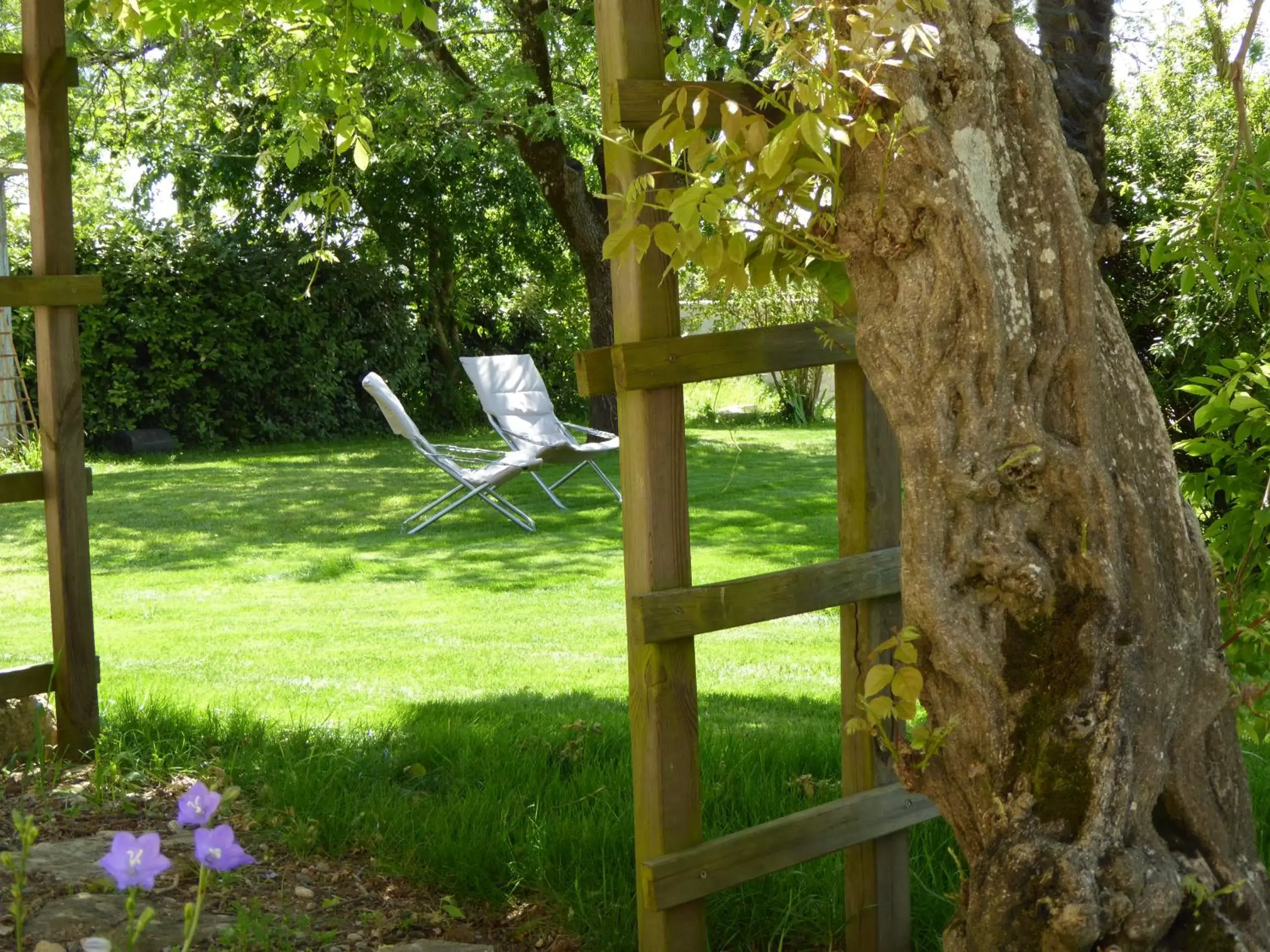 Garden in La Vigneraie de Laura