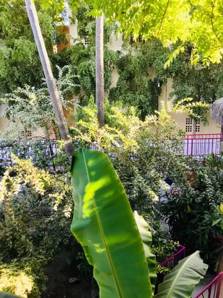 Garden, Swimming Pool in Hotel Posada Señor Mañana