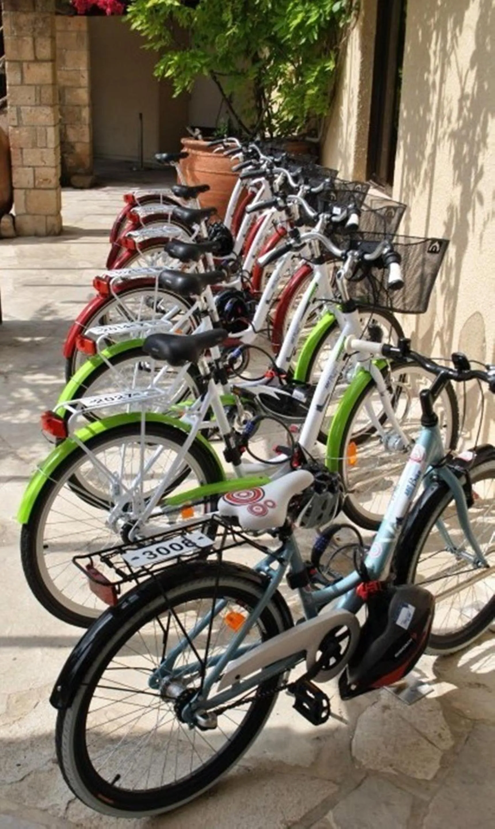 Cycling in Venus Beach Hotel