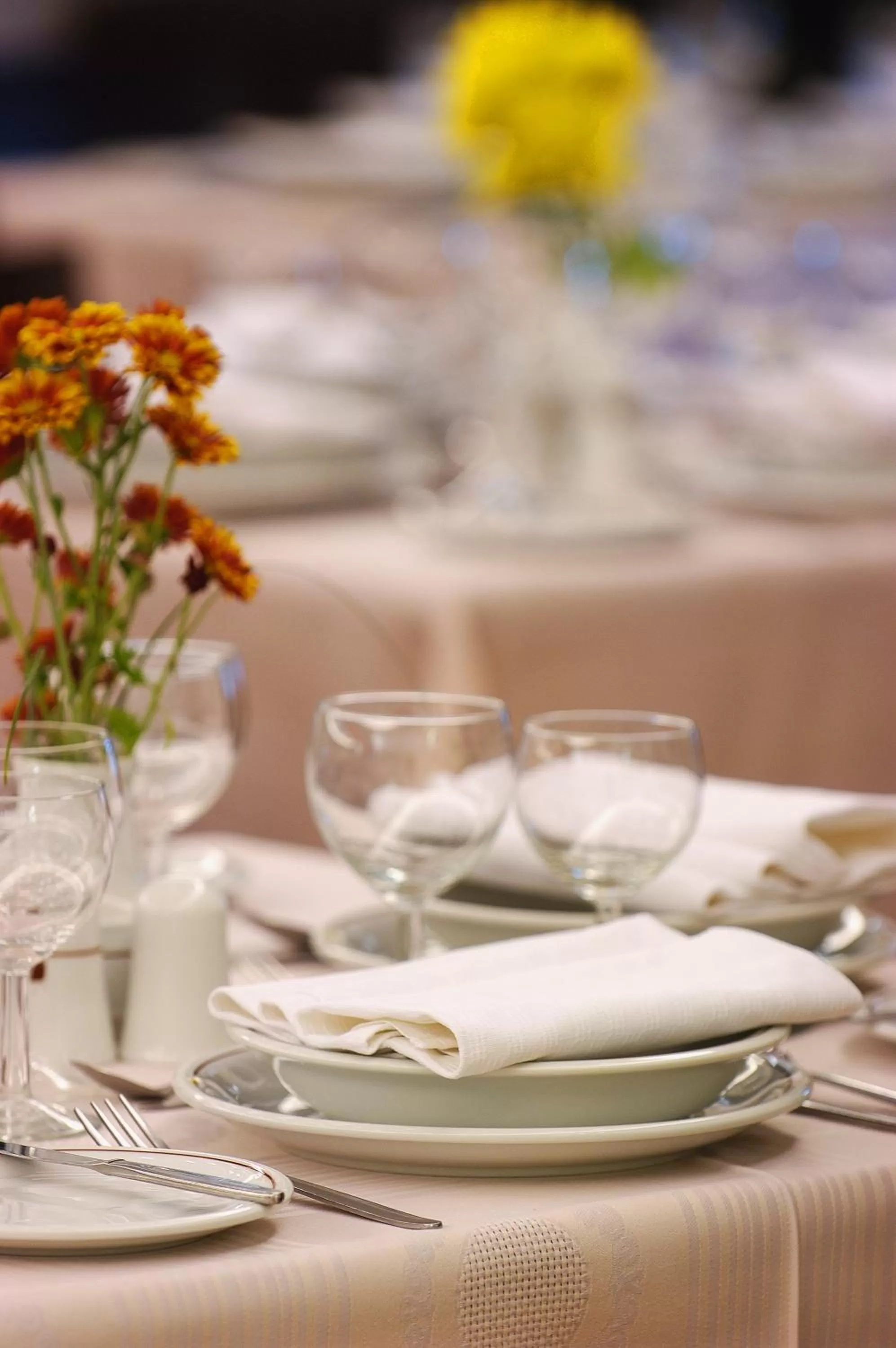 Meals in Atrion Hotel