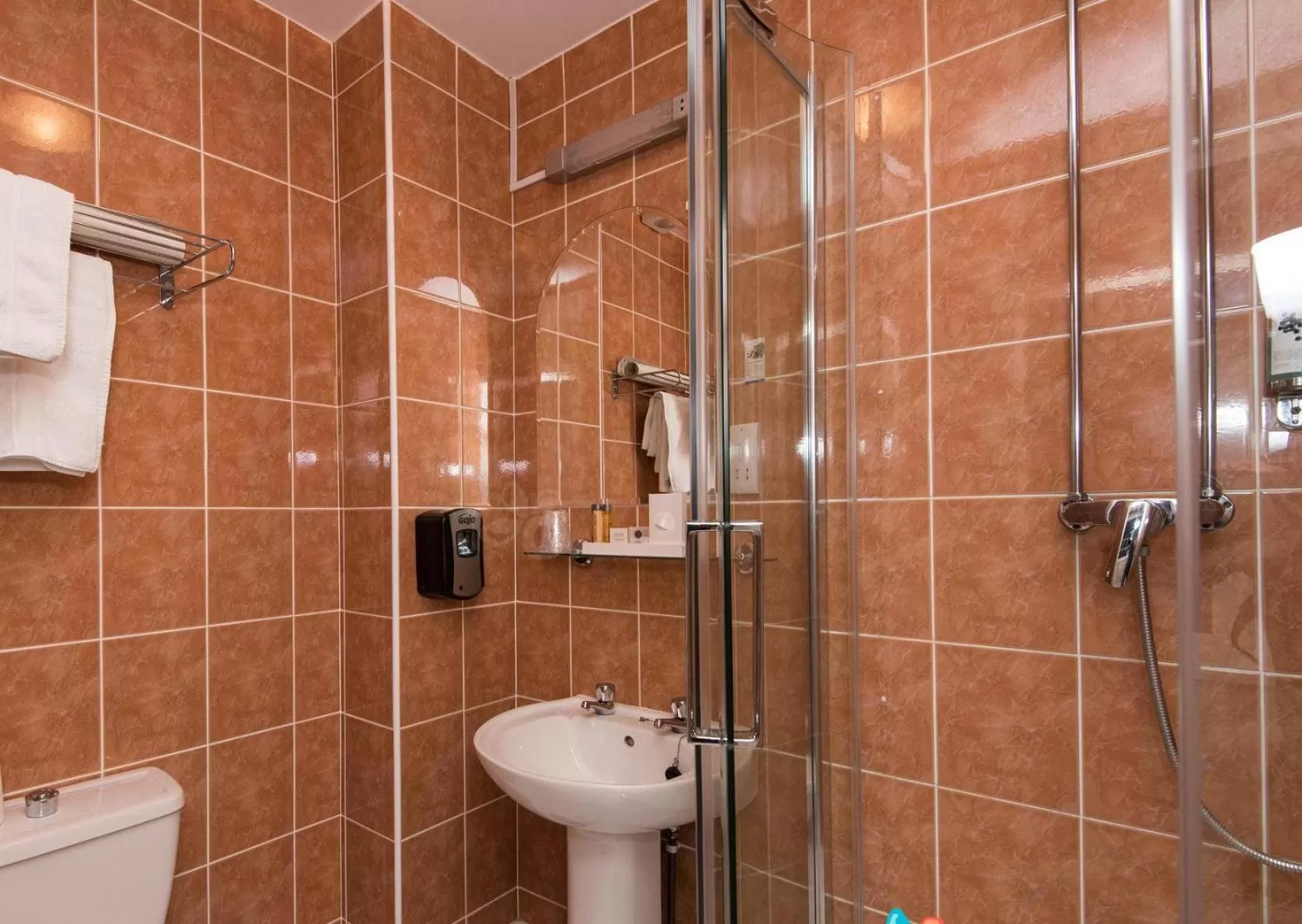 Bathroom in Best Western Homestead Court Hotel