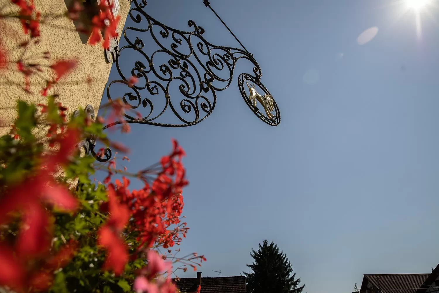 Property building in Landgasthof & Brauerei Löwen Sasbach