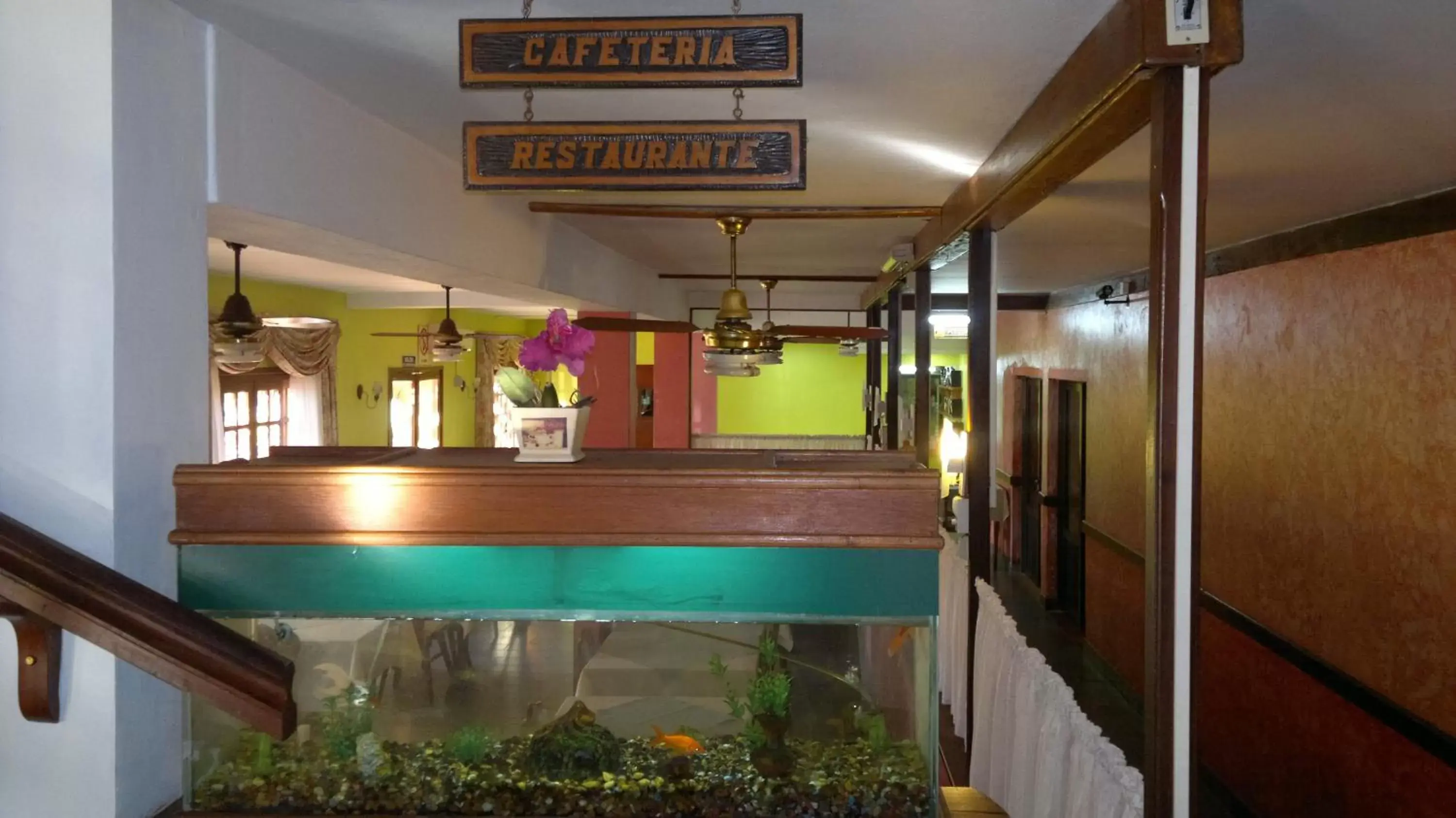 Restaurant/places to eat in Hosteria Los Helechos
