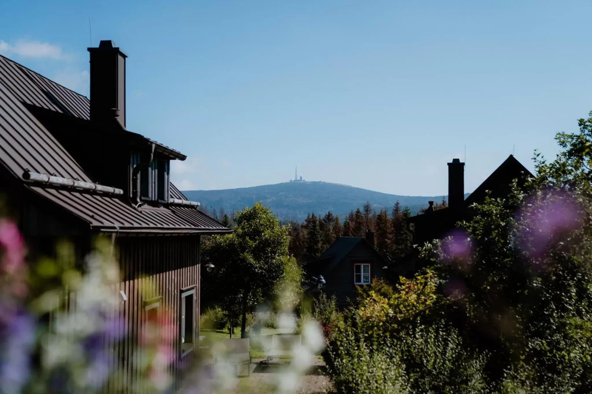 Mountain view in Torfhaus Harzresort